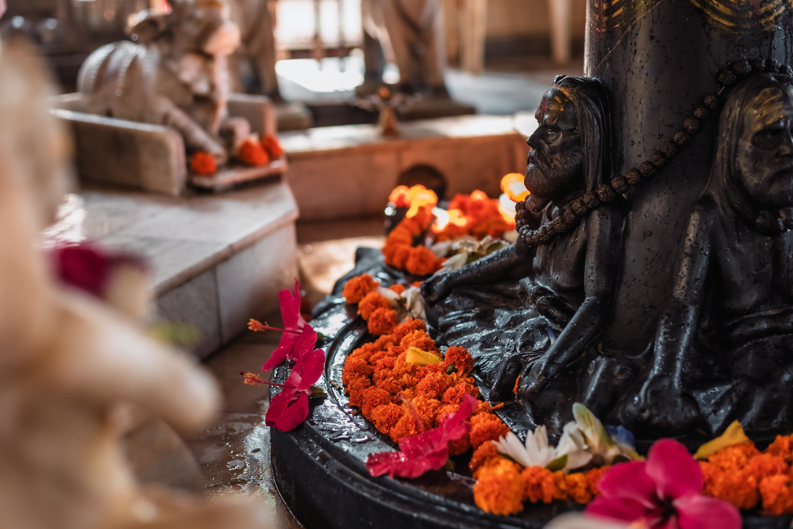 Devraha baba ji ashram life 2025. Mariam Bagdasaryan