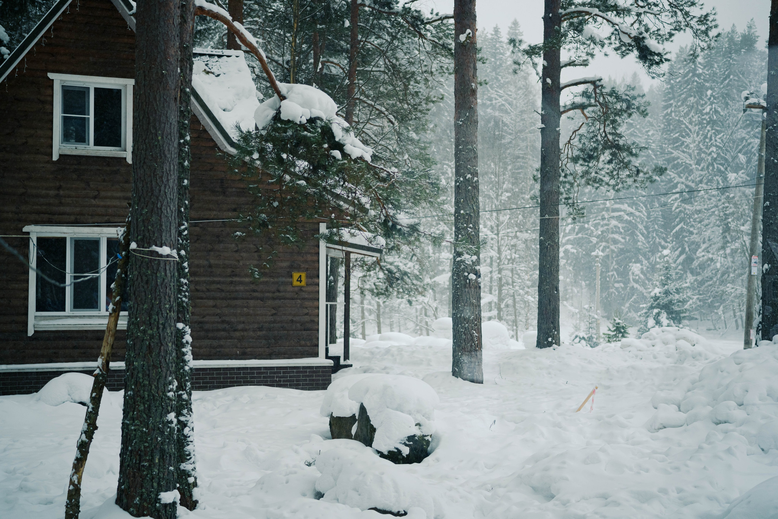 Skuratov Trail Run. Портретный и репортажный фотограф в Санкт-Петербурге Смоляков Максим