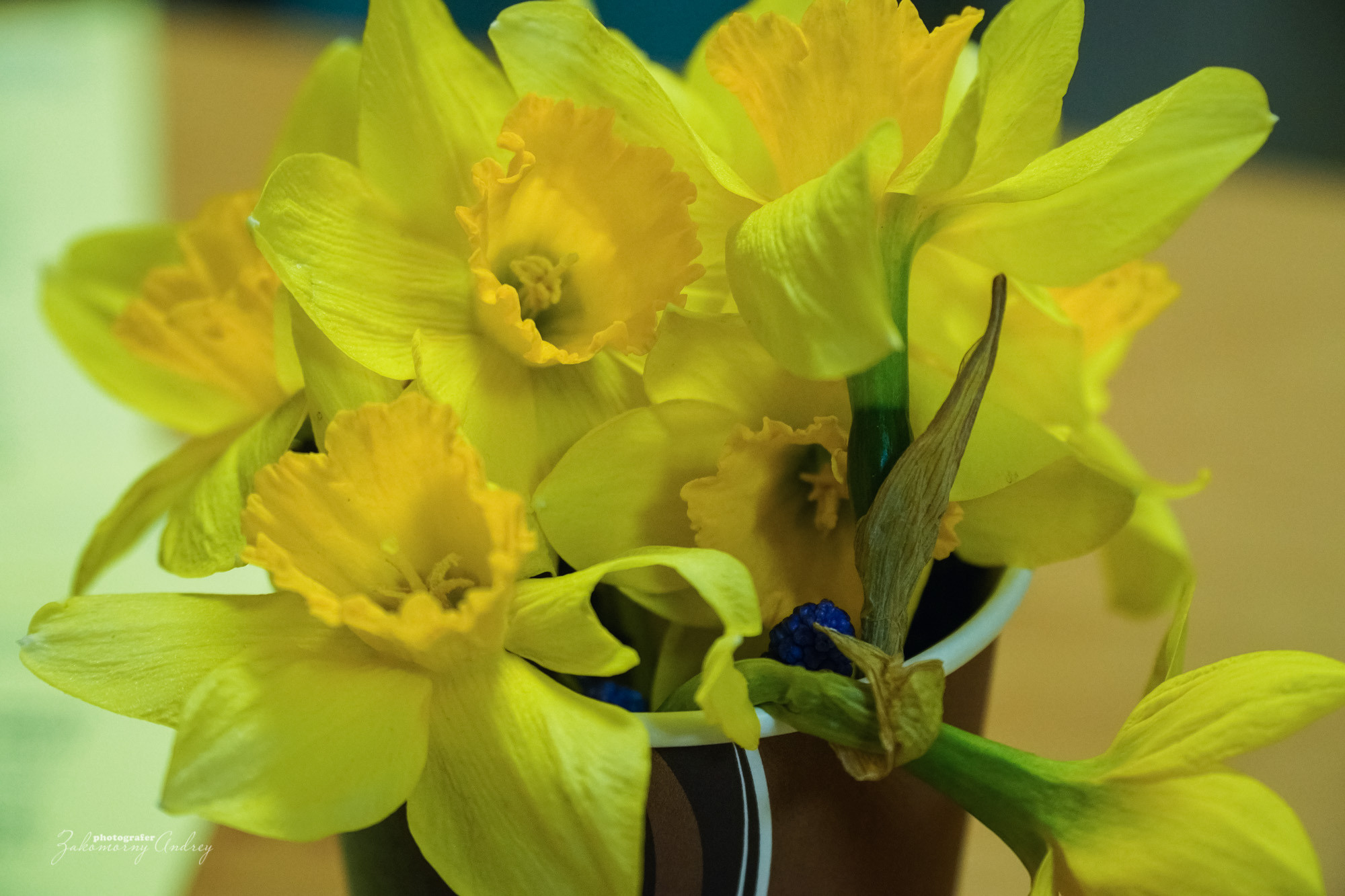 Репортажная фотосъёмка. Фотомастерская Андрея Закоморного