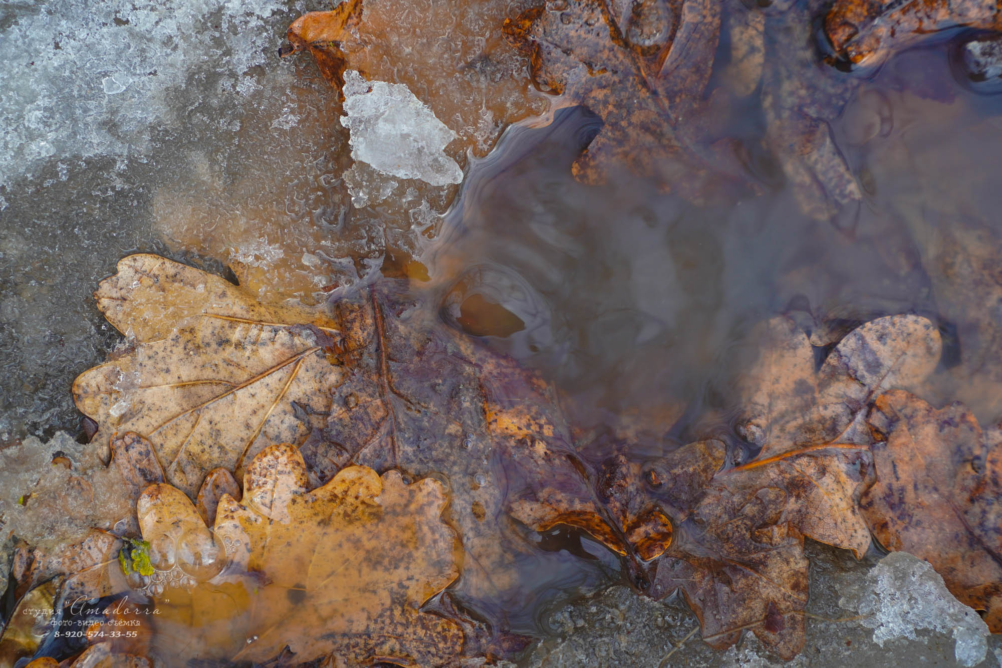 Репортажная фотосъёмка. Фотомастерская Андрея Закоморного