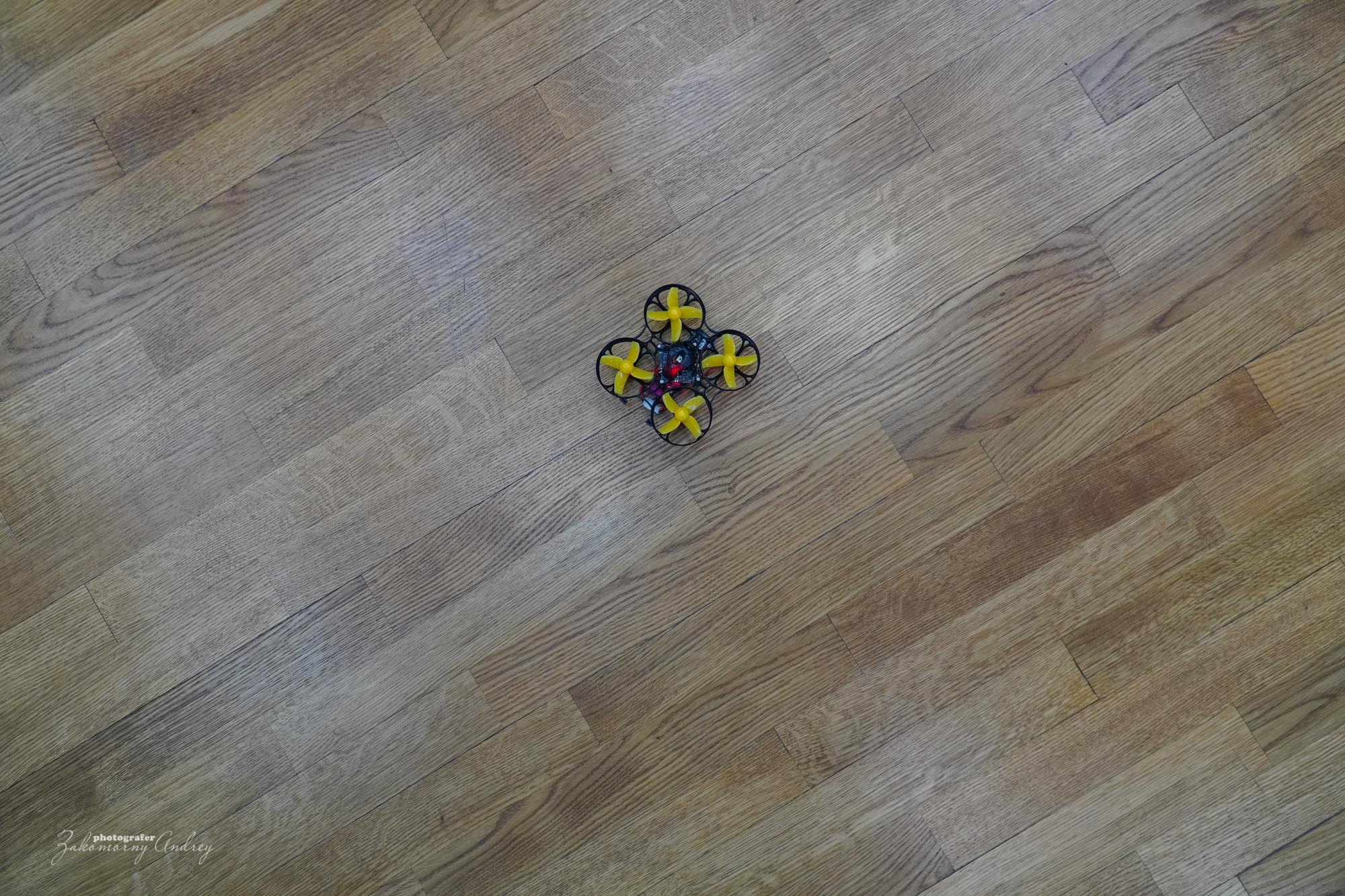 Репортажная фотосъёмка. Фотомастерская Андрея Закоморного