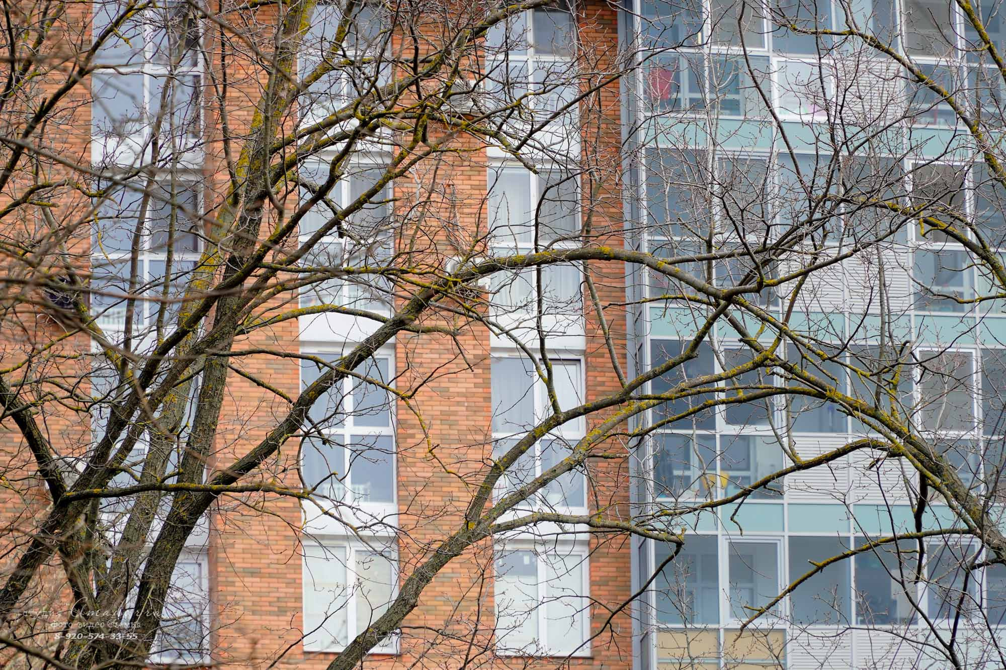 Репортажная фотосъёмка. Фотомастерская Андрея Закоморного