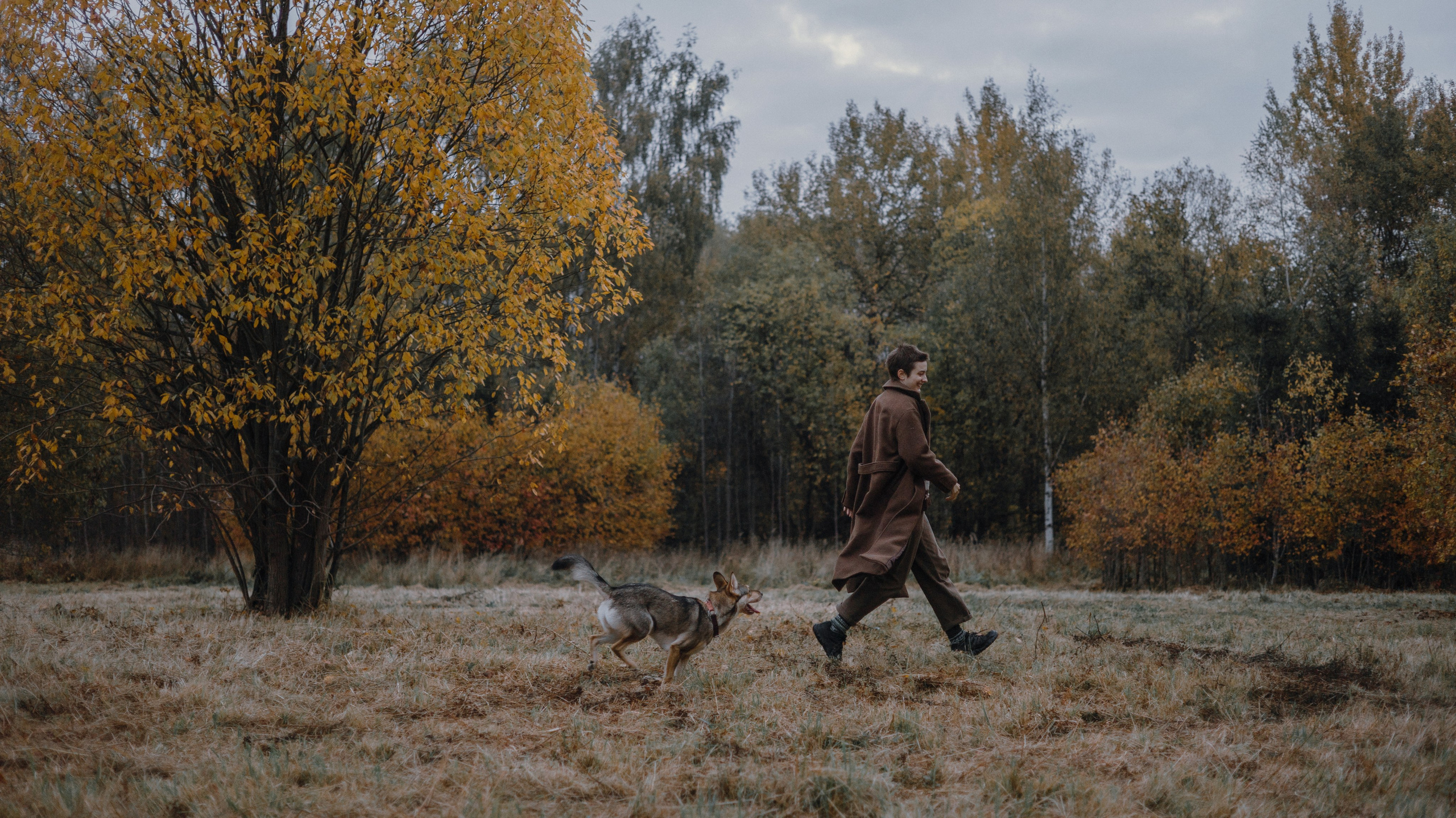 Маша, Катя, Астрид и Мася. Фотограф-анималист Богданова Полина