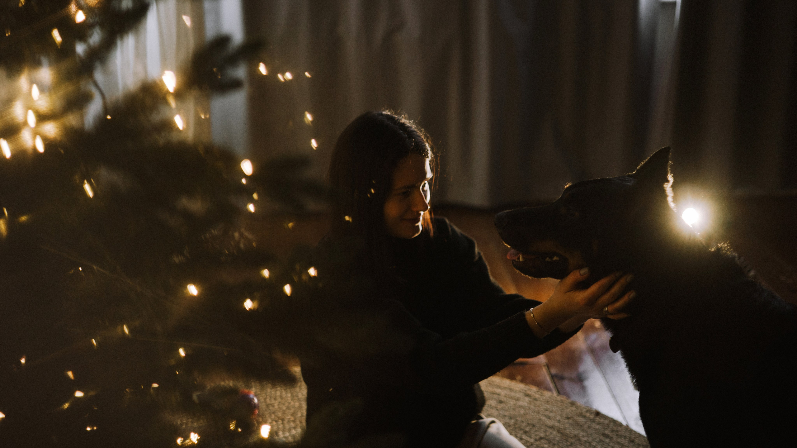 Полина и Зевс. Фотограф-анималист Богданова Полина