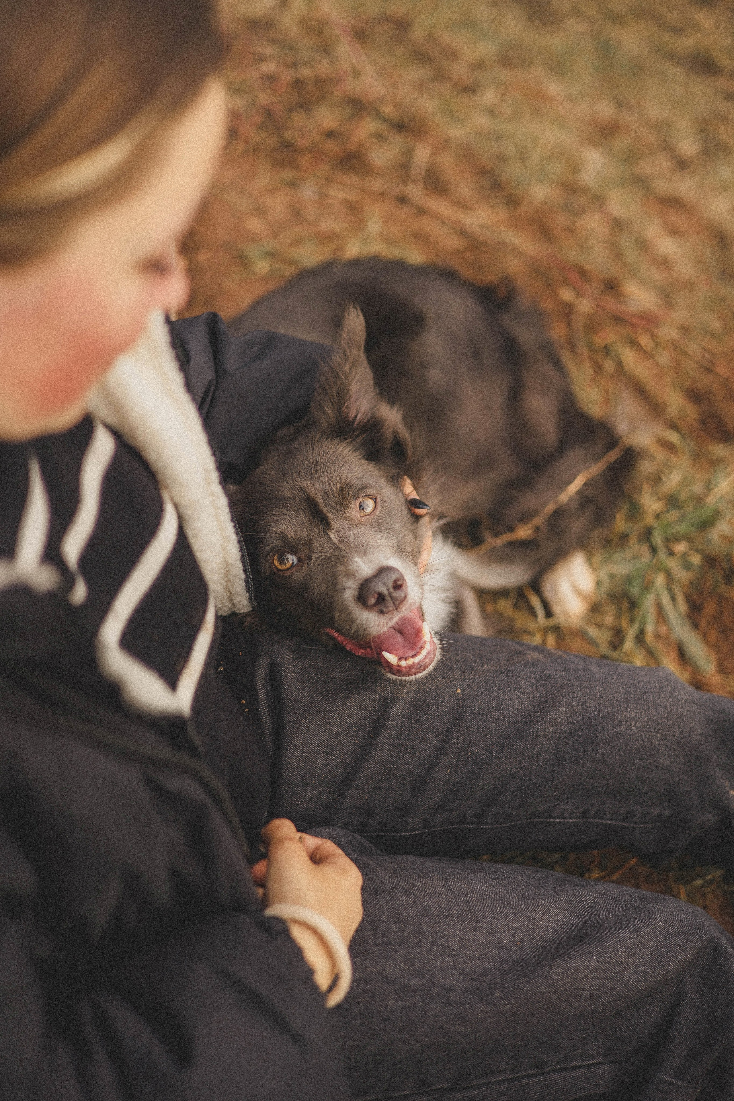 Даша и Дже. Фотограф-анималист Богданова Полина