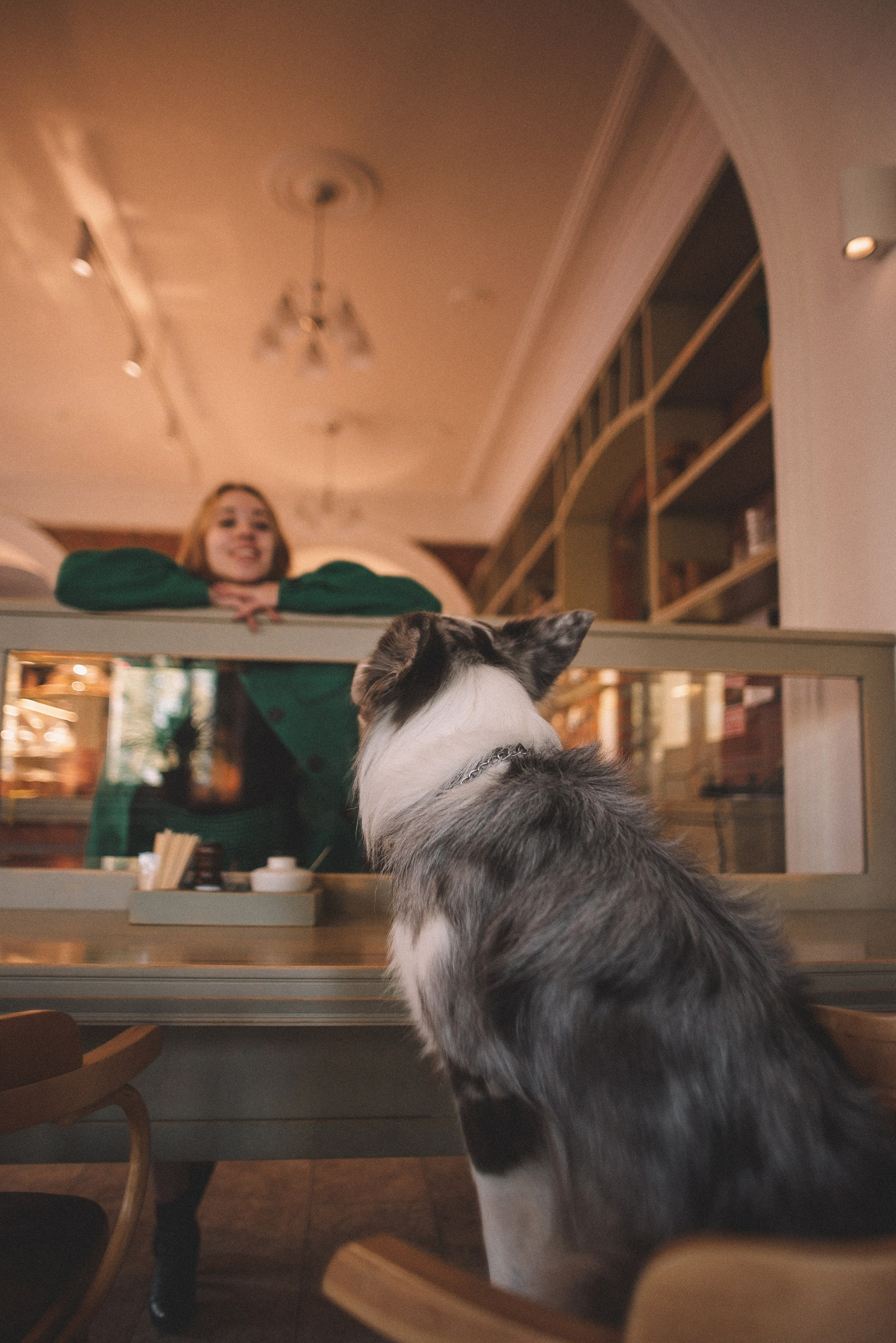 Диана и Робин. Фотограф-анималист Богданова Полина