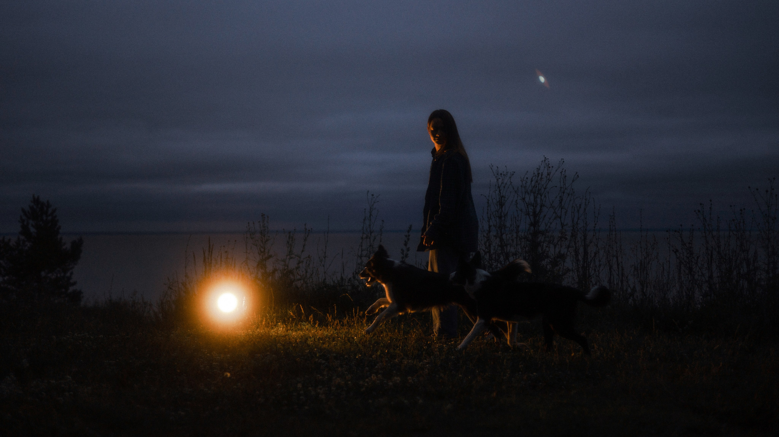 Аделя, Вандер, Шайна и Бая. Фотограф-анималист Богданова Полина