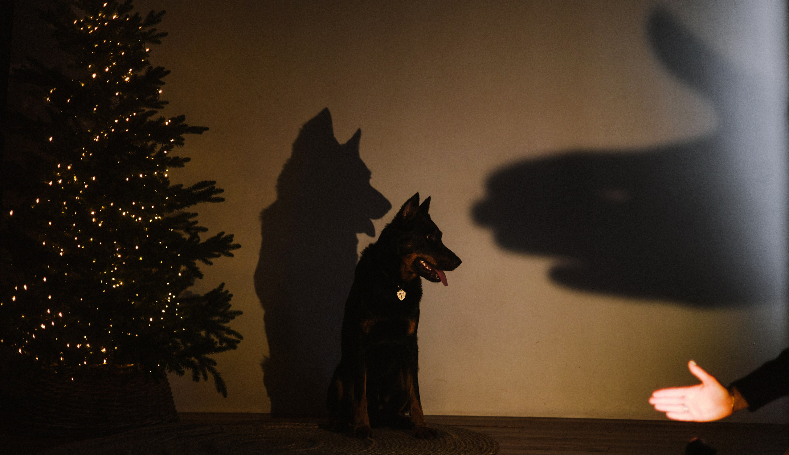 Полина и Зевс. Фотограф-анималист Богданова Полина