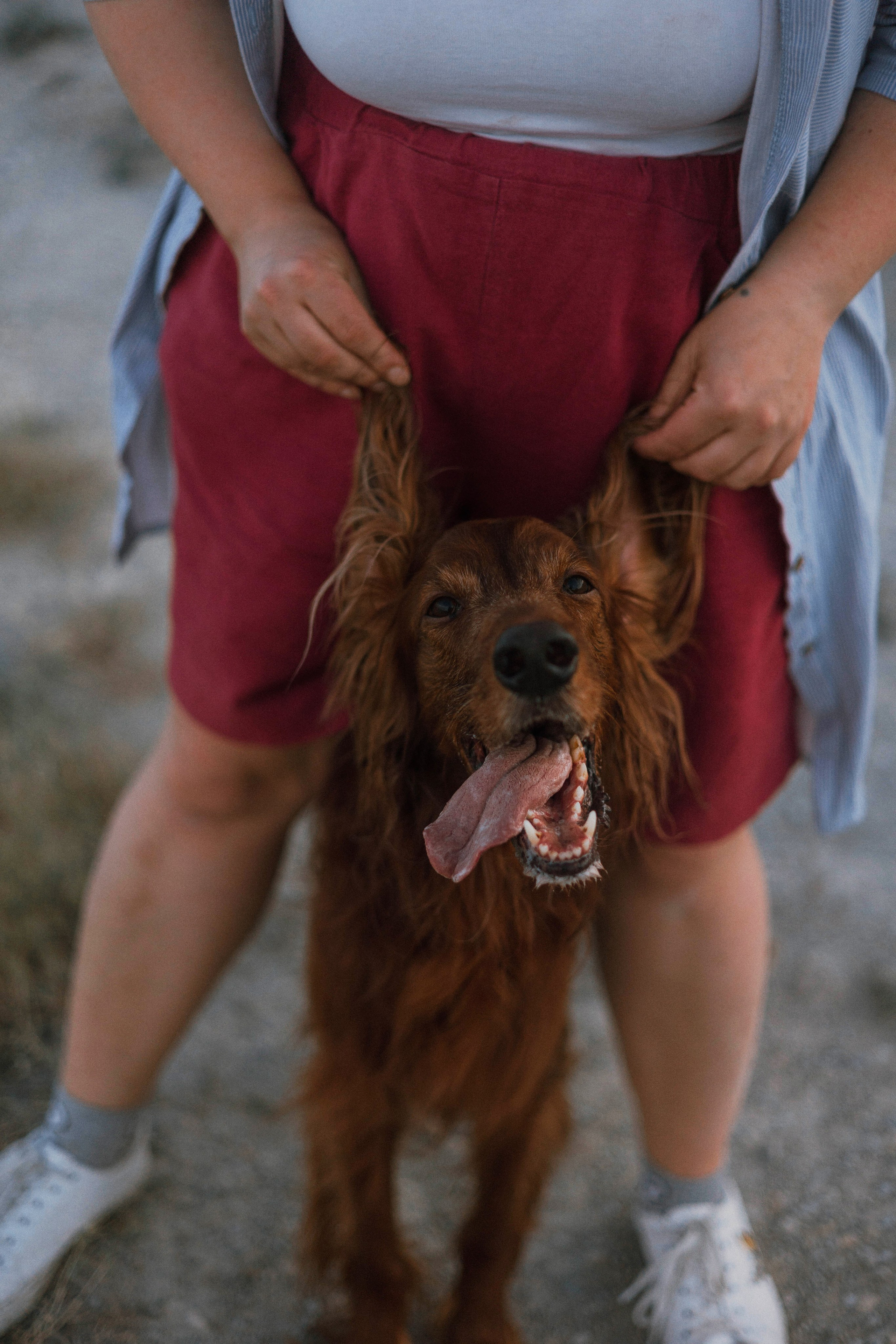 Ольга и Шеймас. Фотограф-анималист Богданова Полина