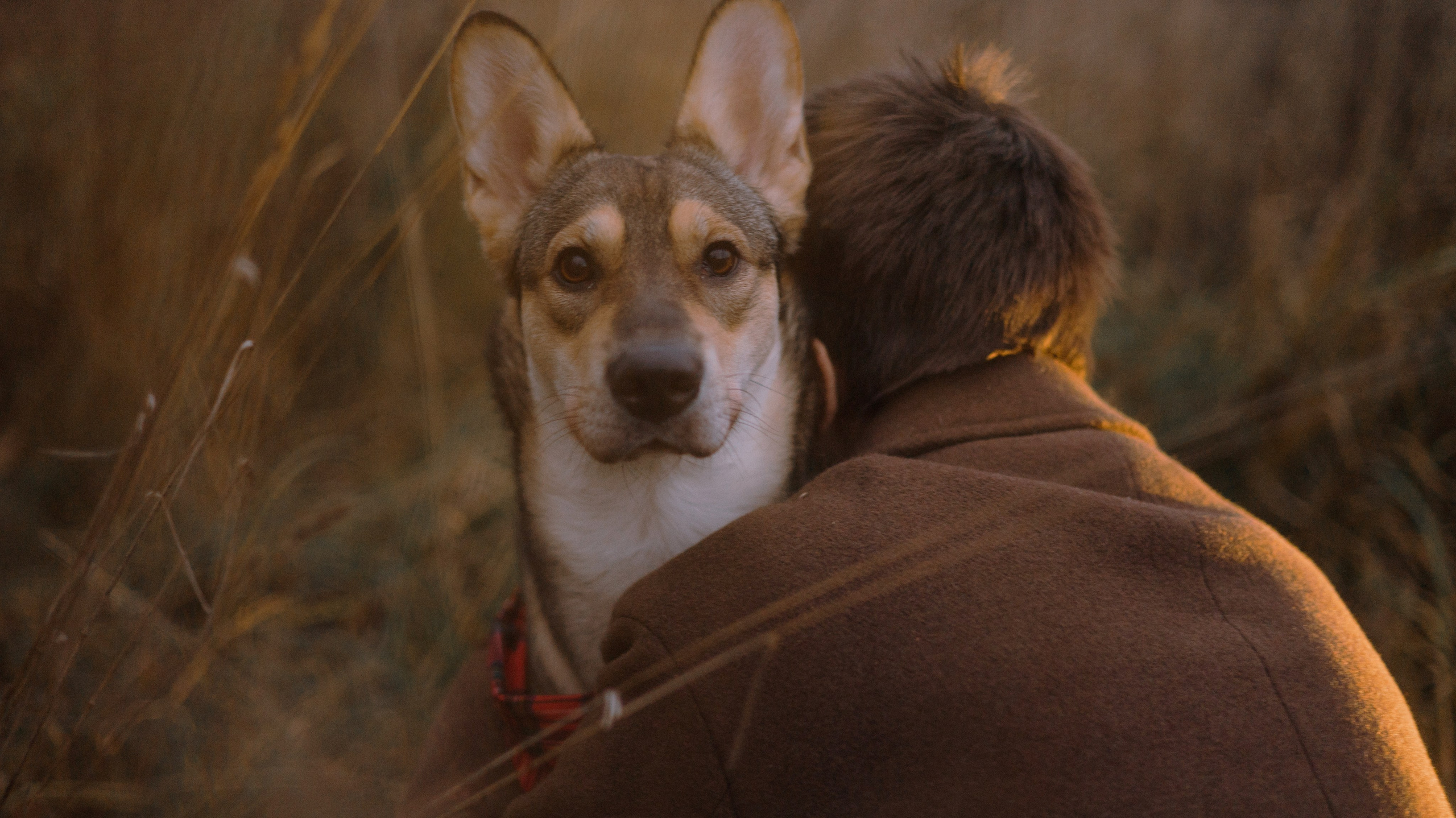 Маша, Катя, Астрид и Мася. Фотограф-анималист Богданова Полина