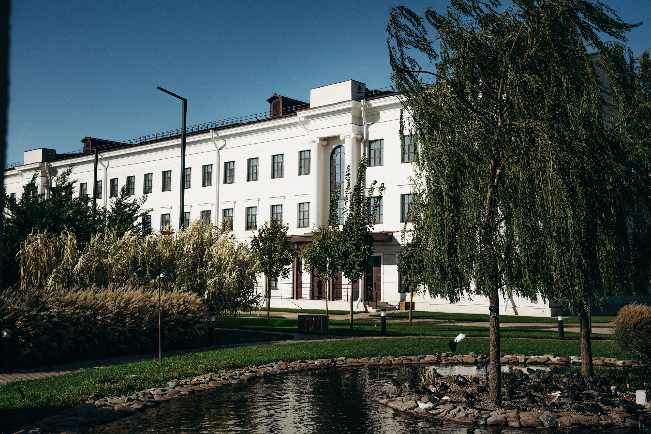 Лицей им. Лобачевского. Контентный и свадебный фотограф в Краснодаре и Сочи Елена Плотникова