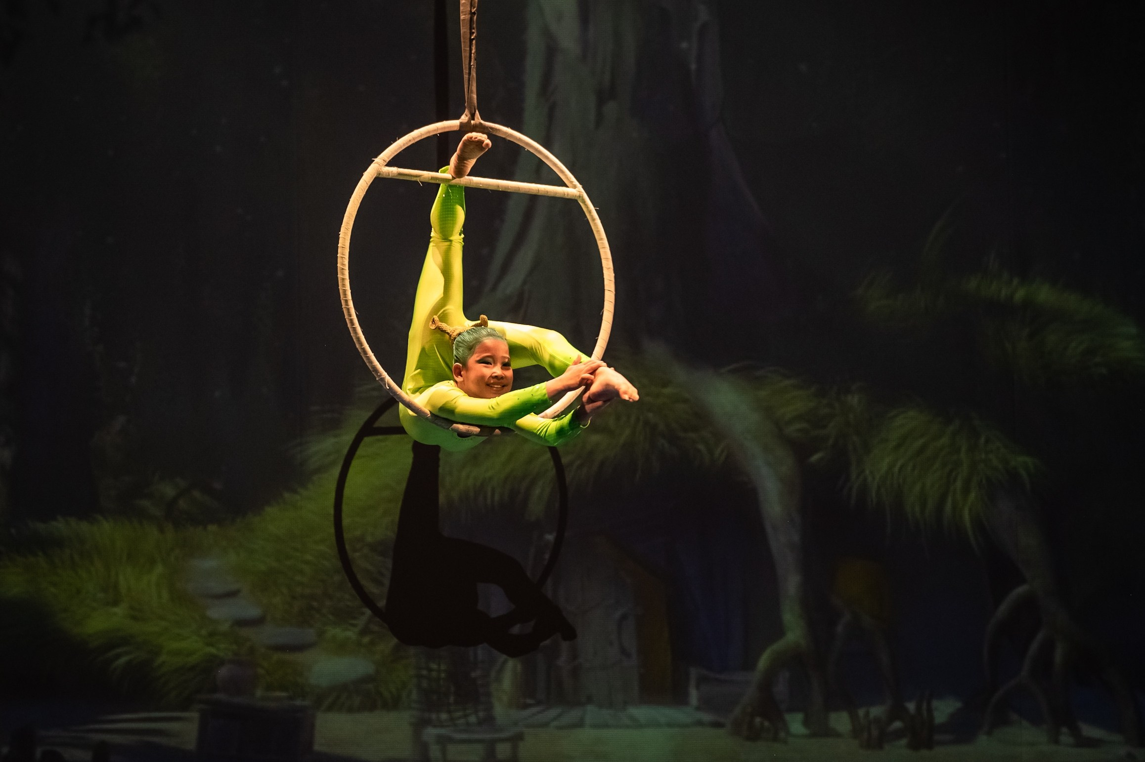 Отчетное выступление студии воздушной гимнастики Sport Evolution. Свадебный и семейный фотограф София Невская