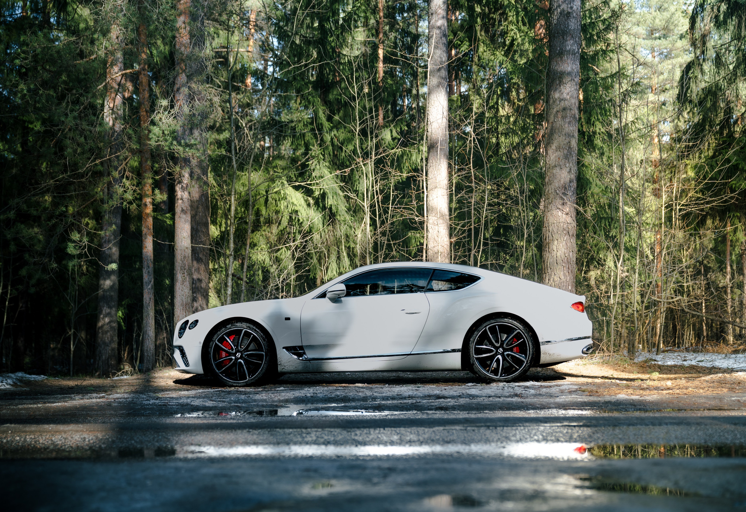 BENTLEY CONTINENTAL. Opasnophoto