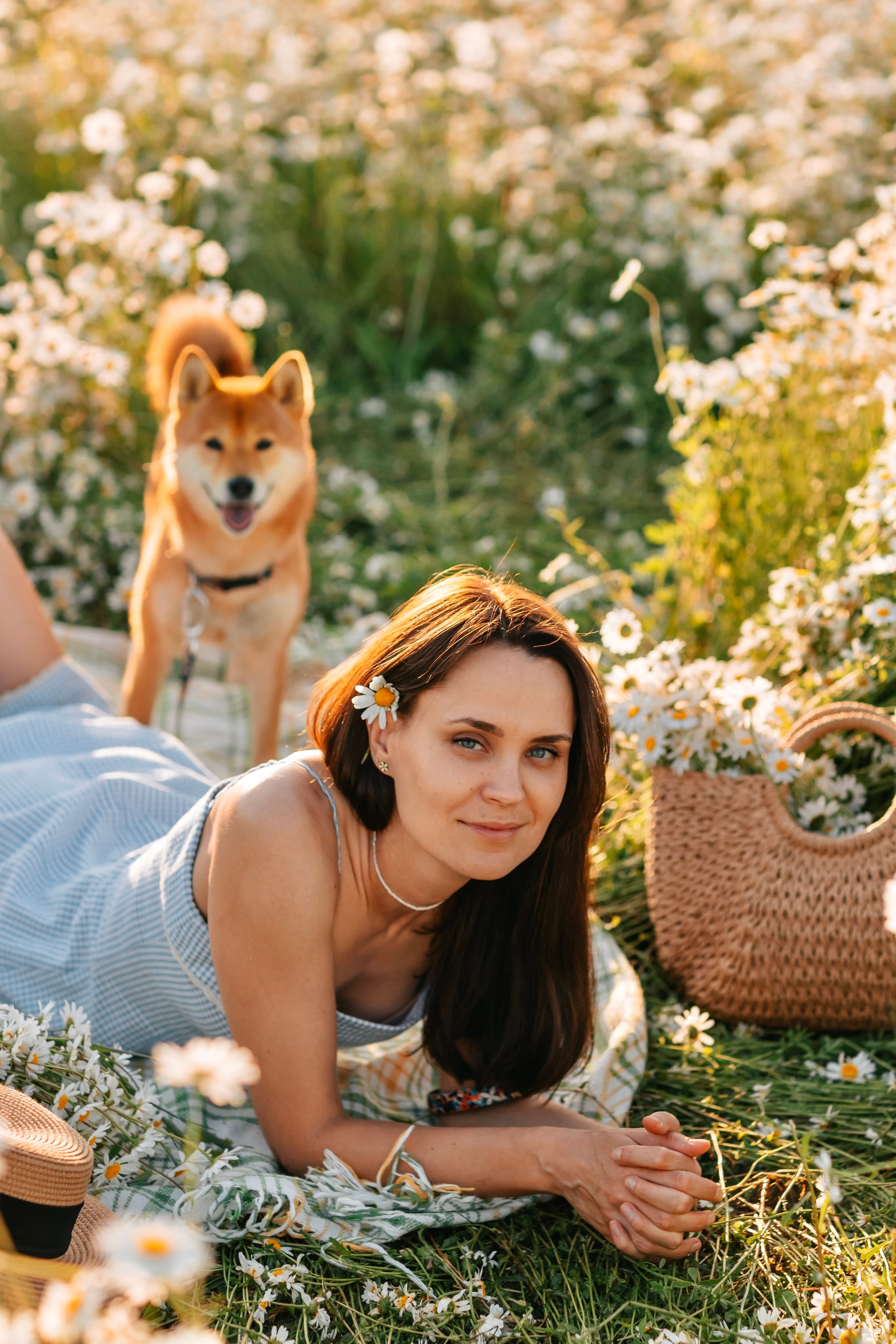 Анна и Айма в ромашковом поле. Анонс фотосессии. Семейный фотограф анималист Мария Крючкова