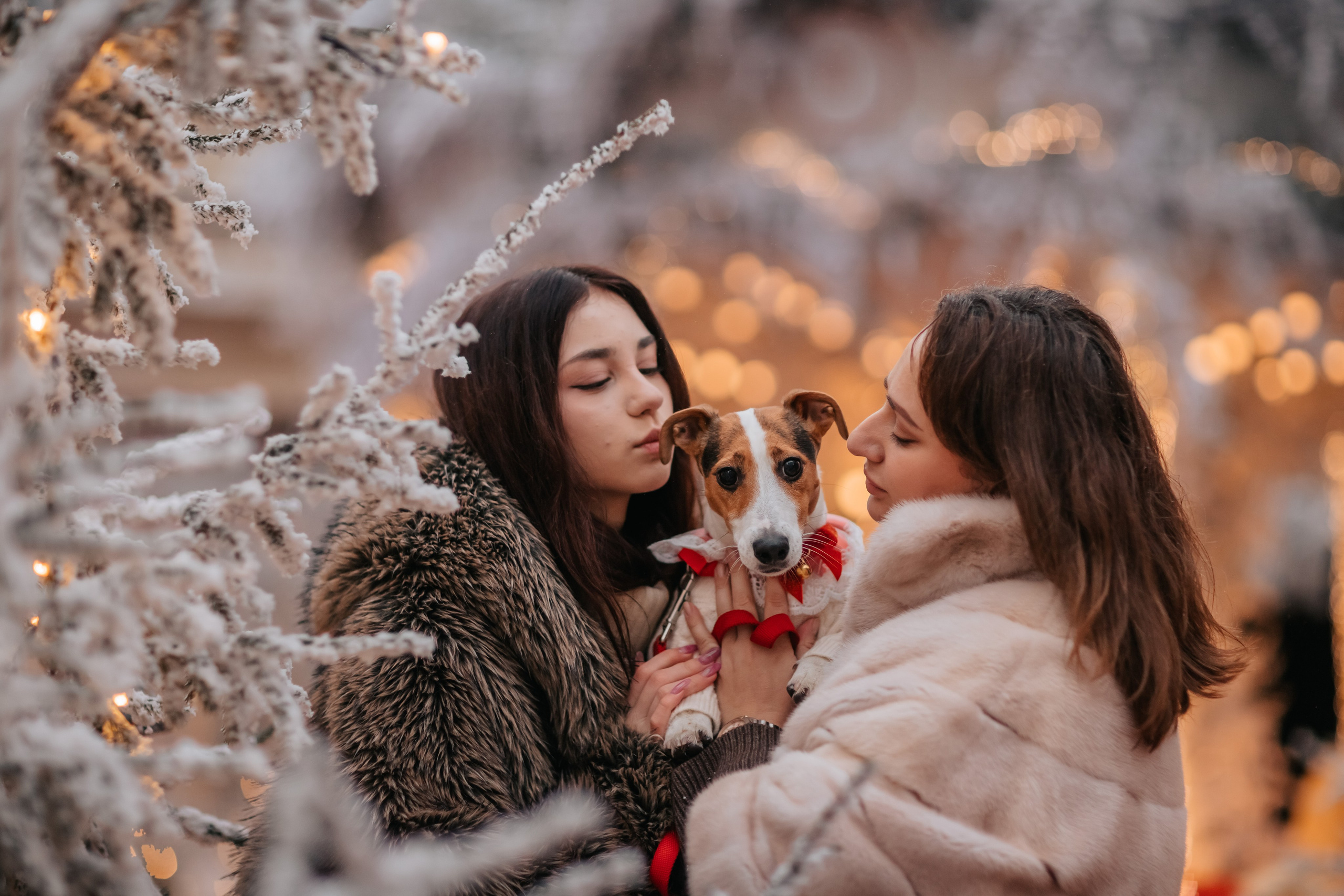 Евгения, Милана и Лилу. Семейный фотограф анималист Мария Крючкова
