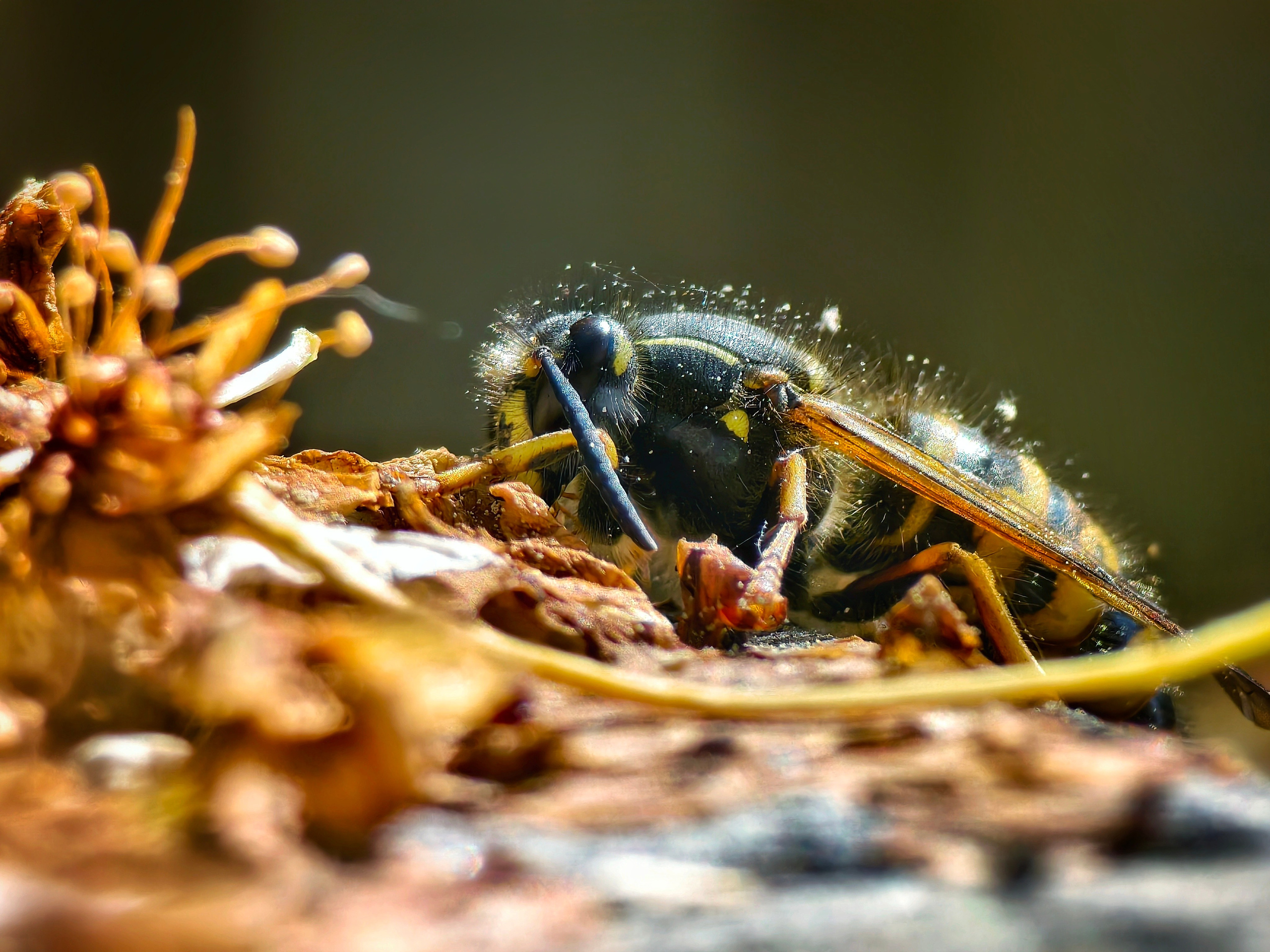 Большое в малом