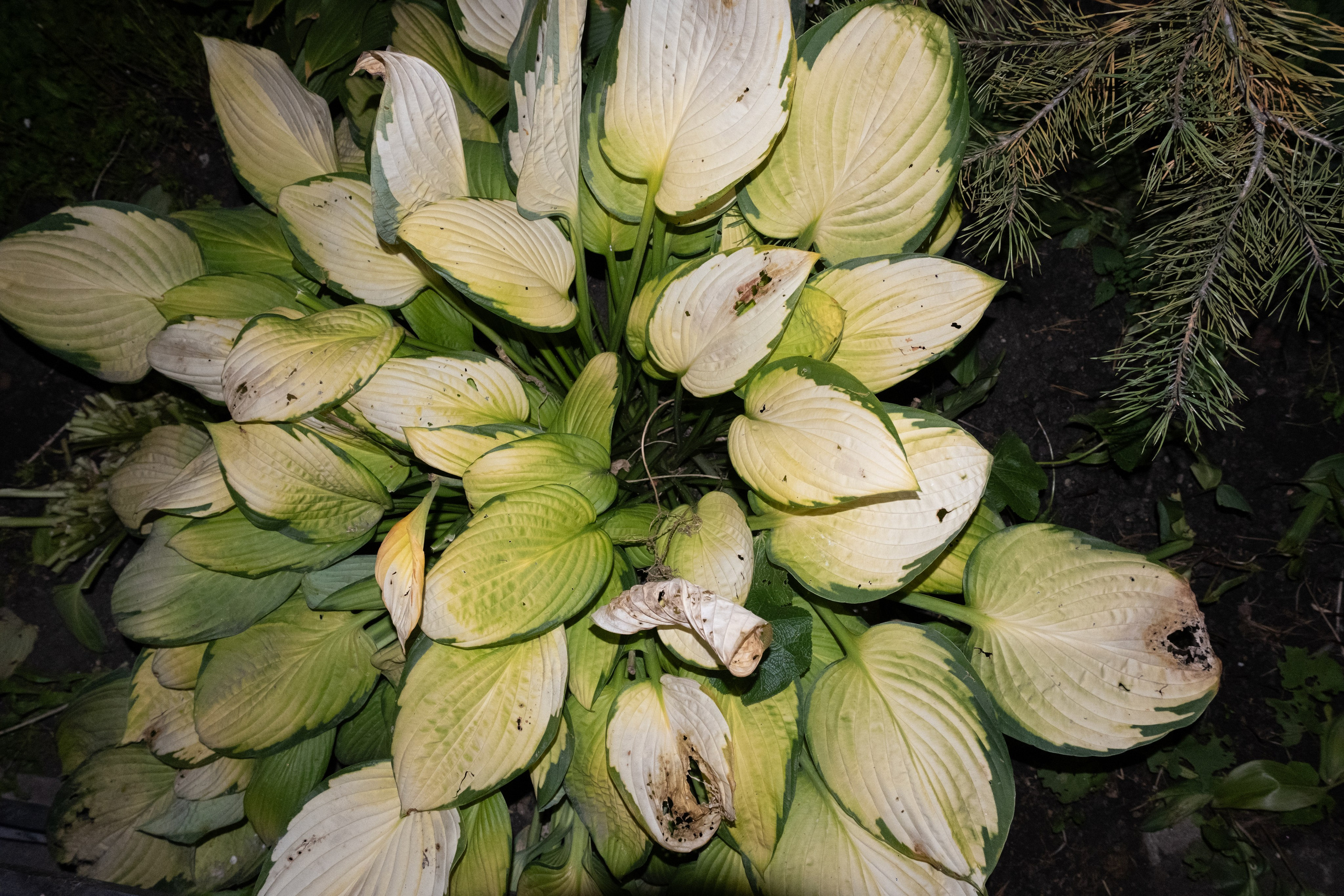 Прогулка по Екатеринбургу. Денис Марков — фотограф в Екатеринбурге