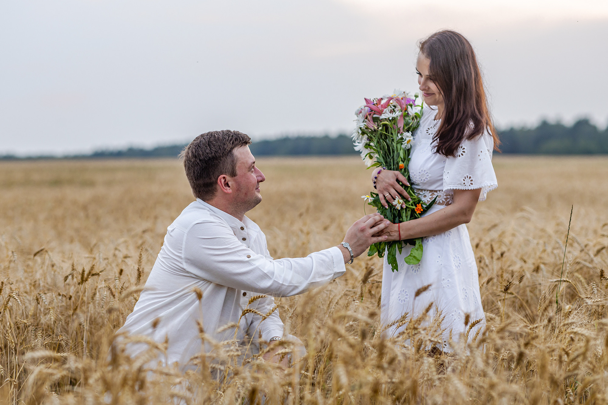 ФОТОСЕССИЯ В ПОЛЕ. Борис Артамонов фотограф — анималист. Москва