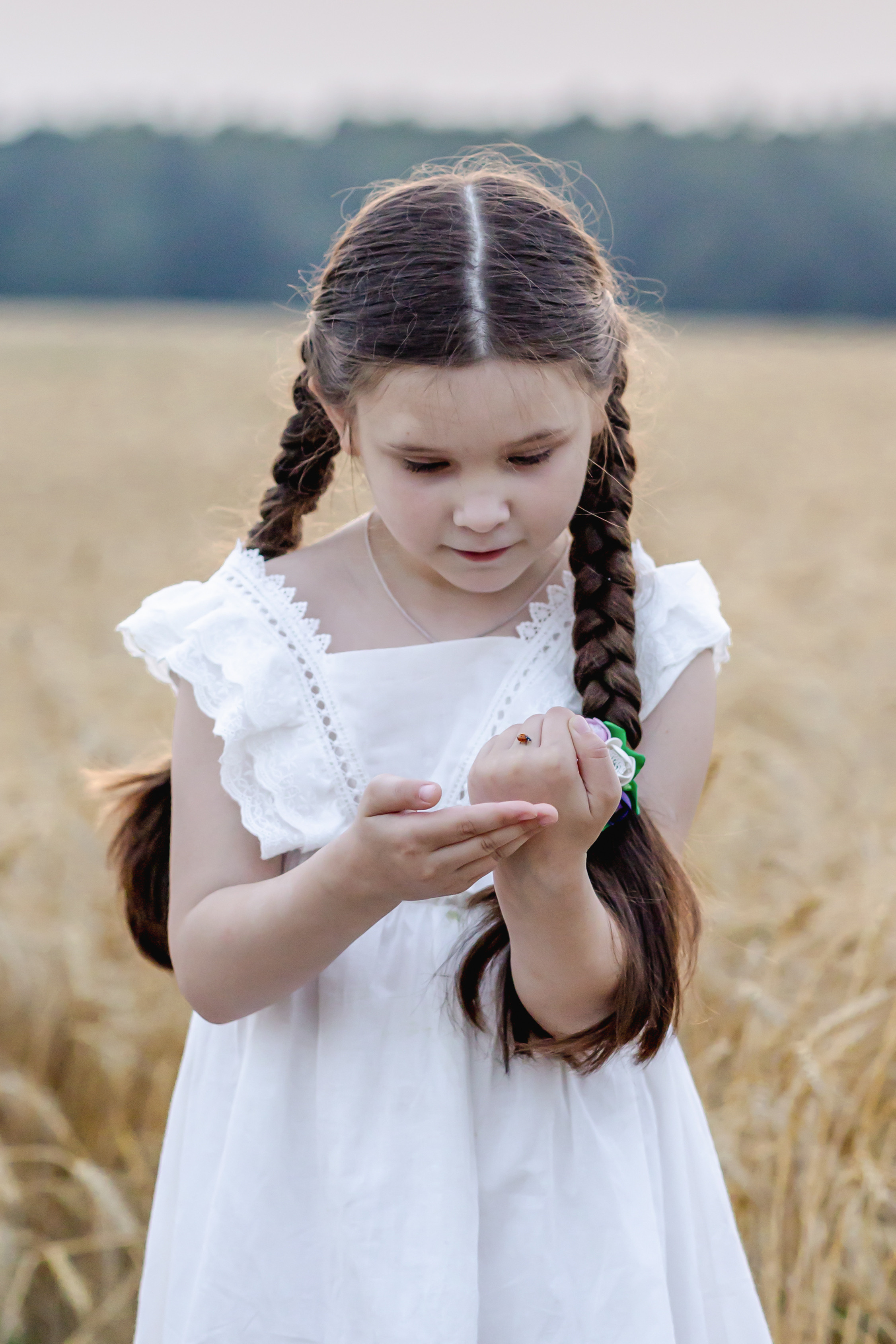 ФОТОСЕССИЯ В ПОЛЕ. Борис Артамонов фотограф — анималист. Москва