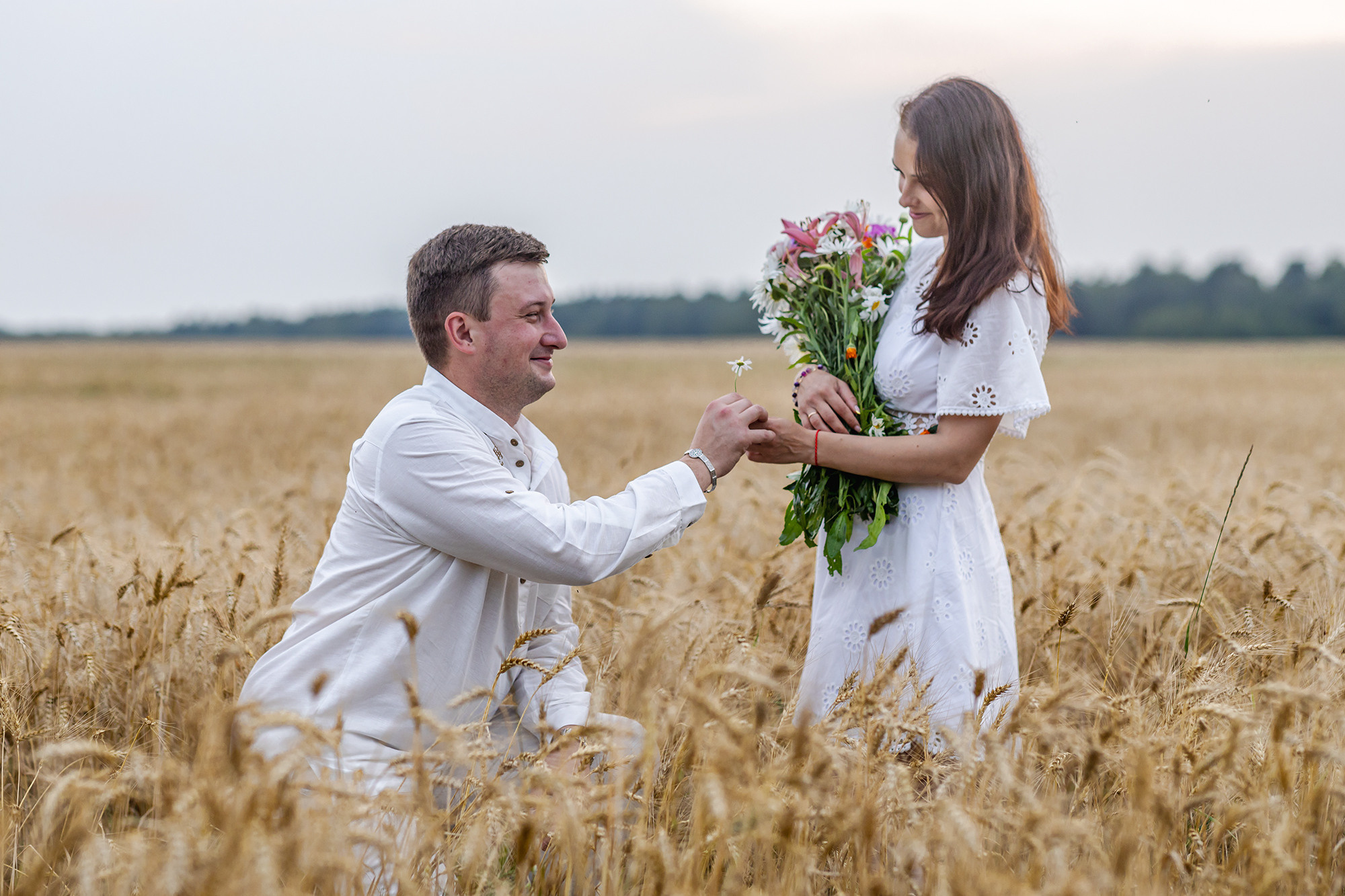 ФОТОСЕССИЯ В ПОЛЕ. Борис Артамонов фотограф — анималист. Москва