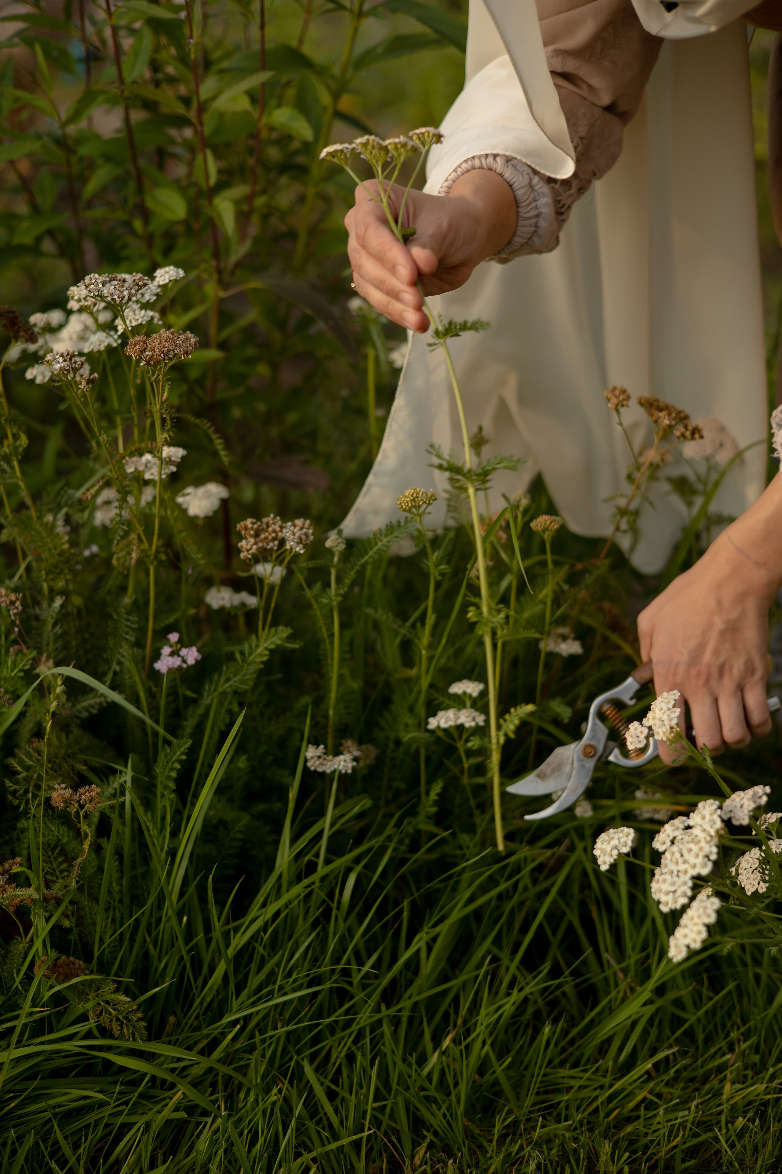ДИНИЯ. Фотограф Элла Ефимова