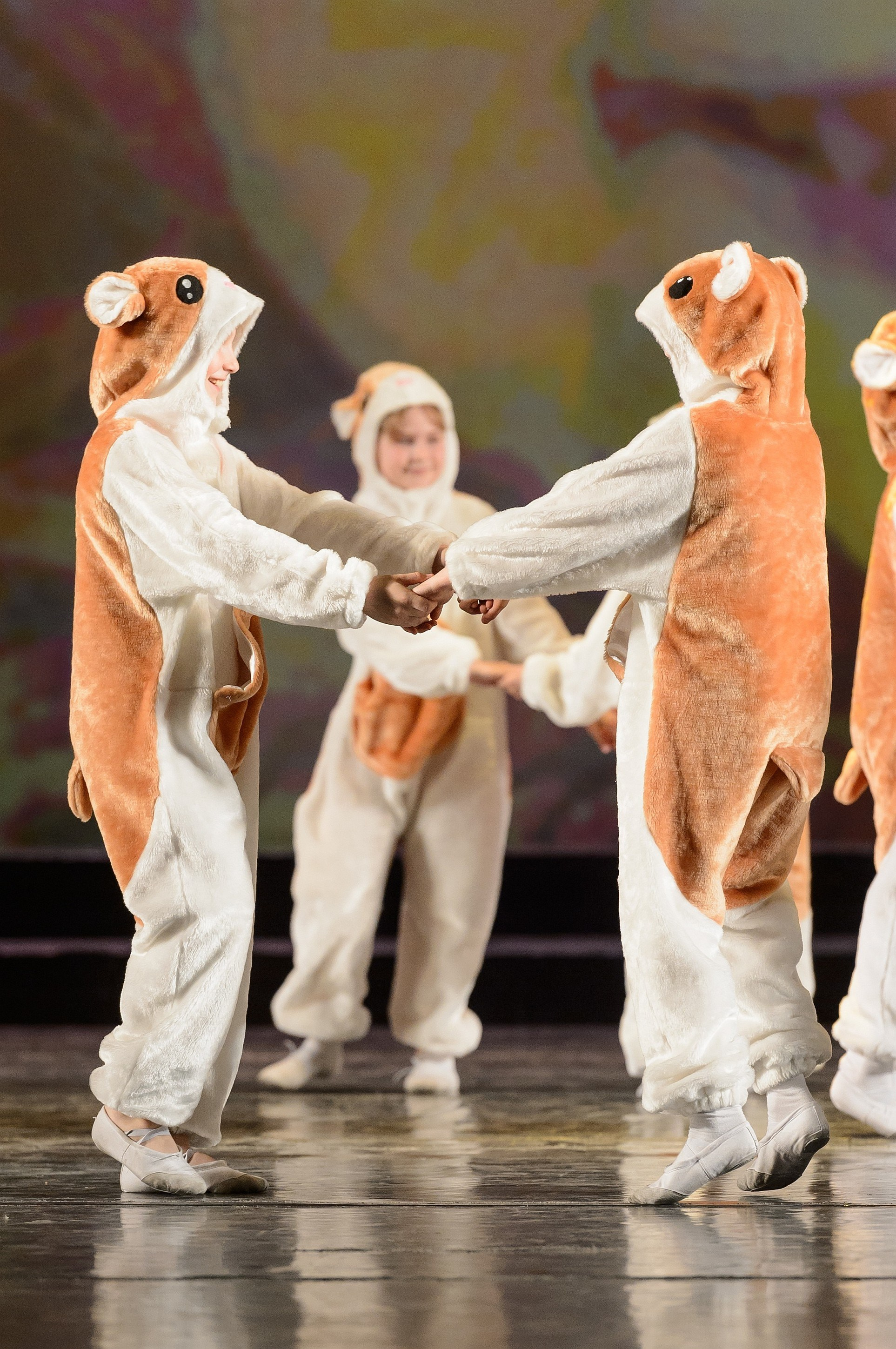 23 мая, концерт 5 лет, БКЗ. Золотое яблочко