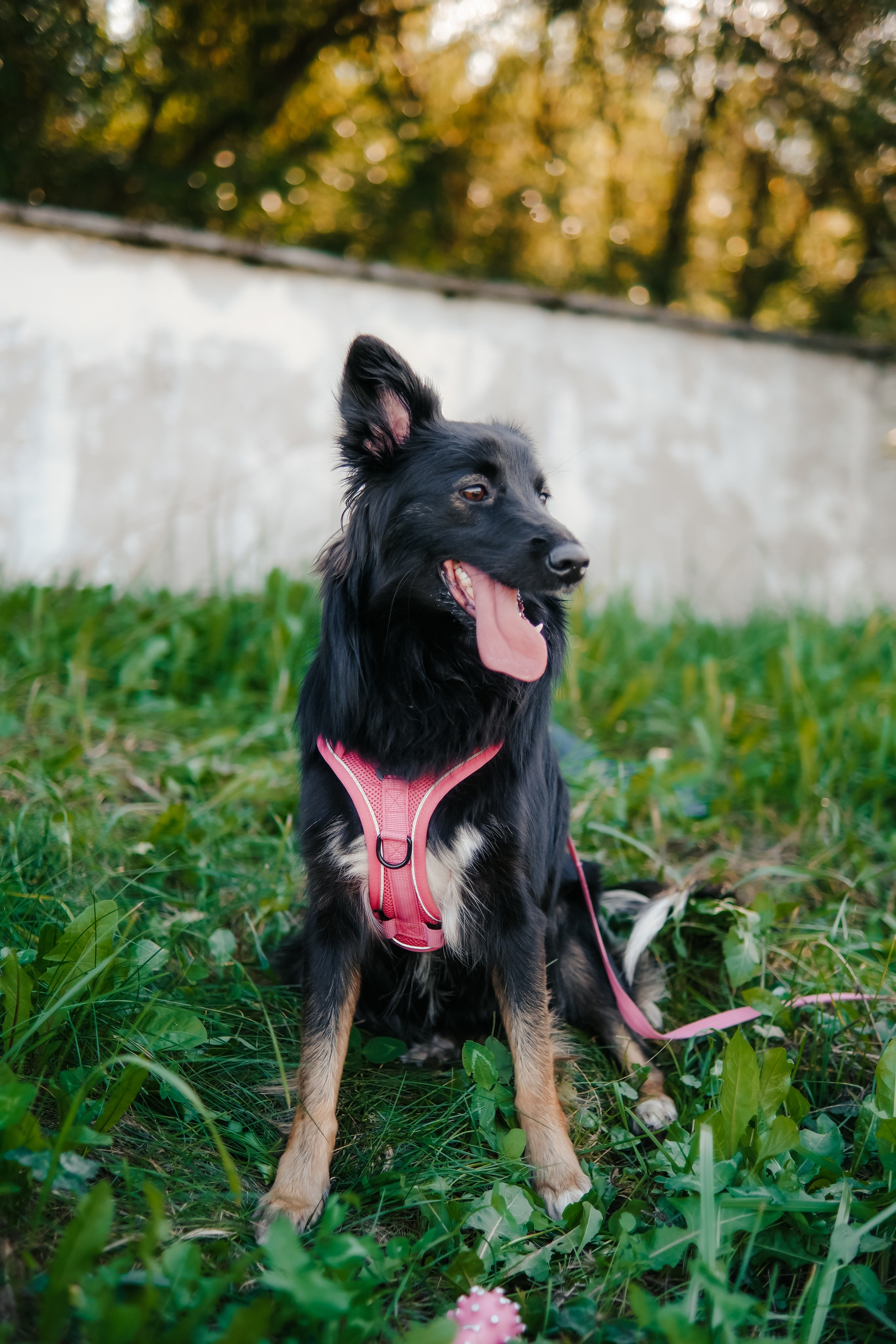 Наташа и Юня. Лена Фокина | Фотограф Смоленск