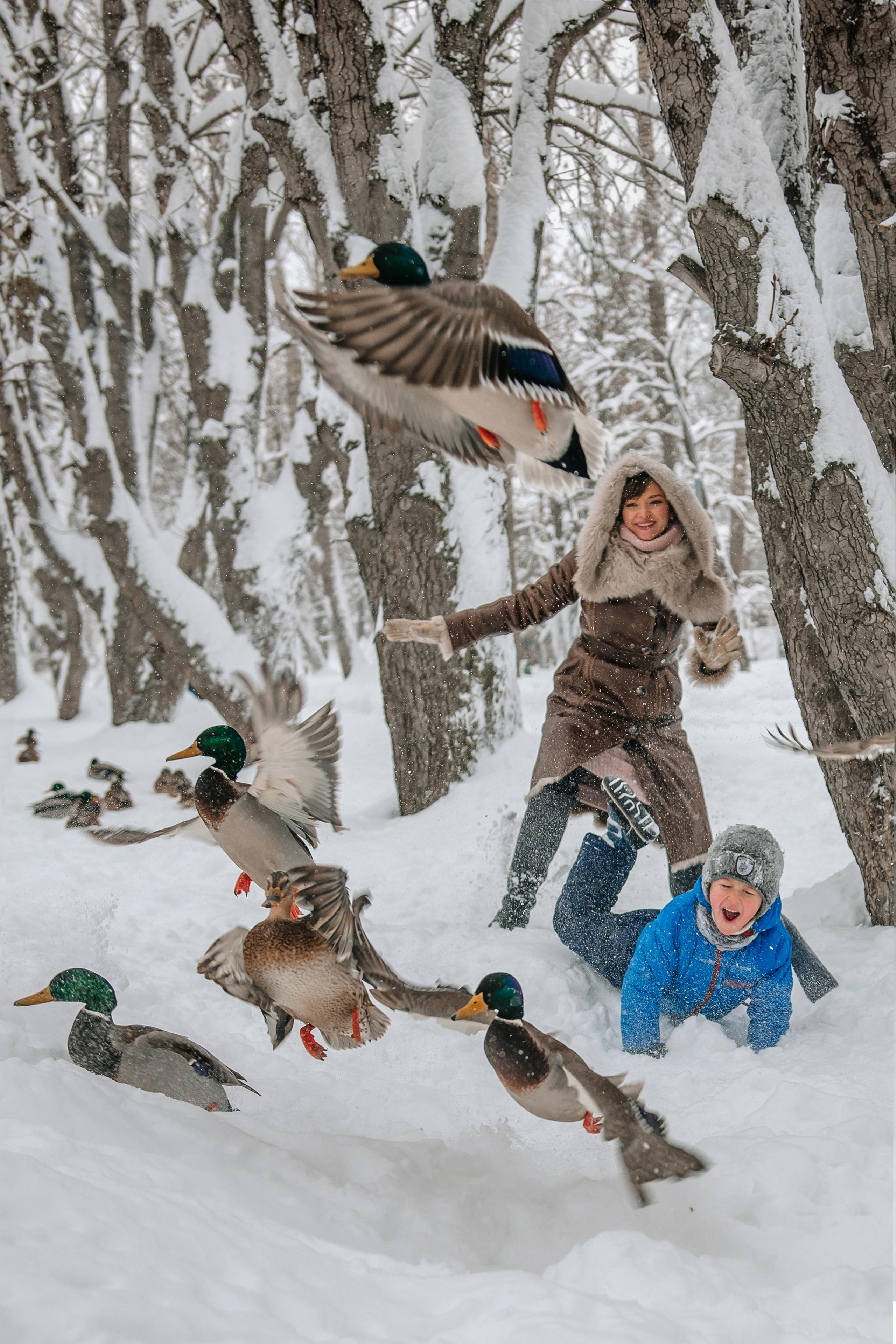 Снежная фотосессия. Андрей, Алла и Артур. Фотограф Валерия Голубева (Миронова)