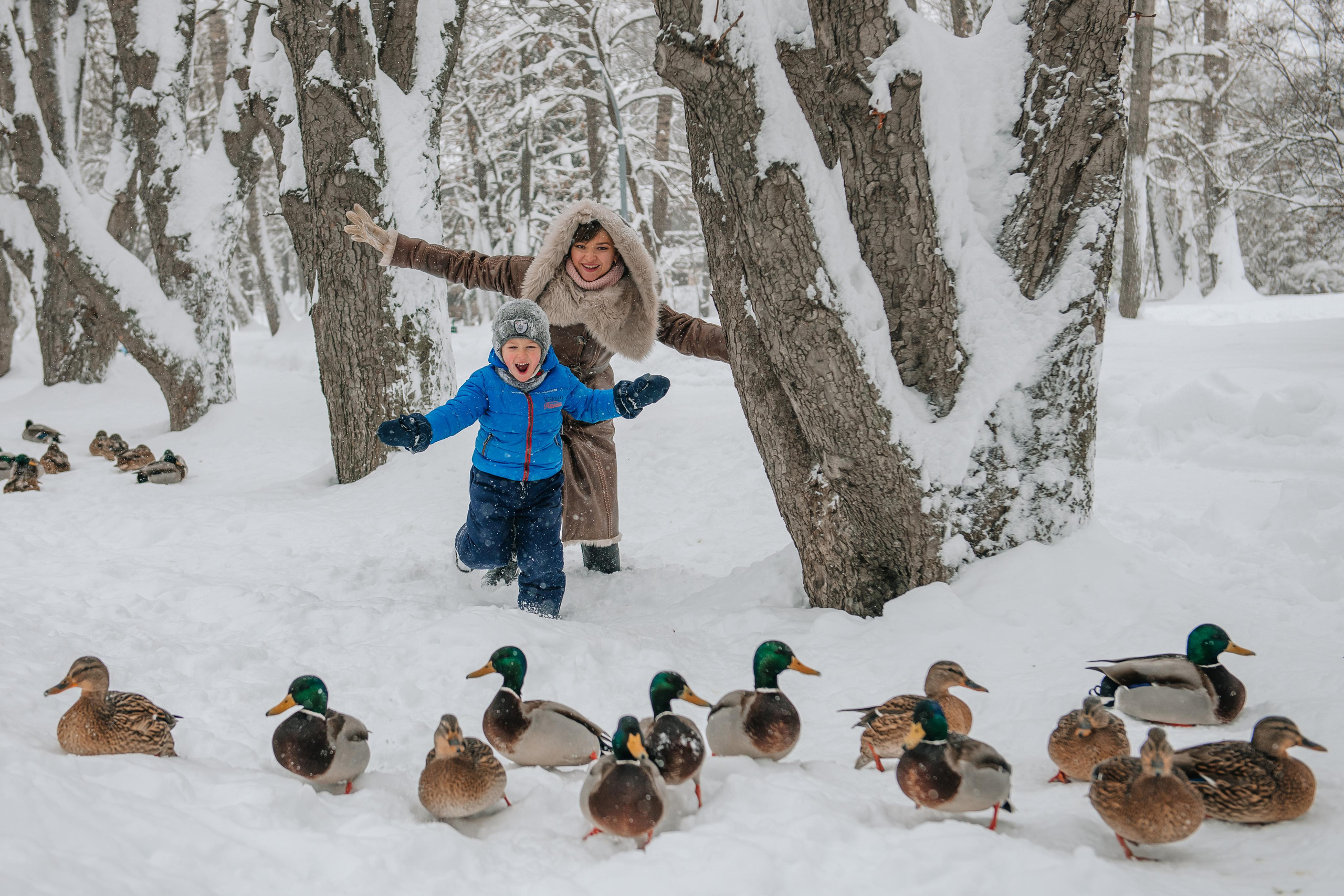 Снежная фотосессия. Андрей, Алла и Артур. Фотограф Валерия Голубева (Миронова)