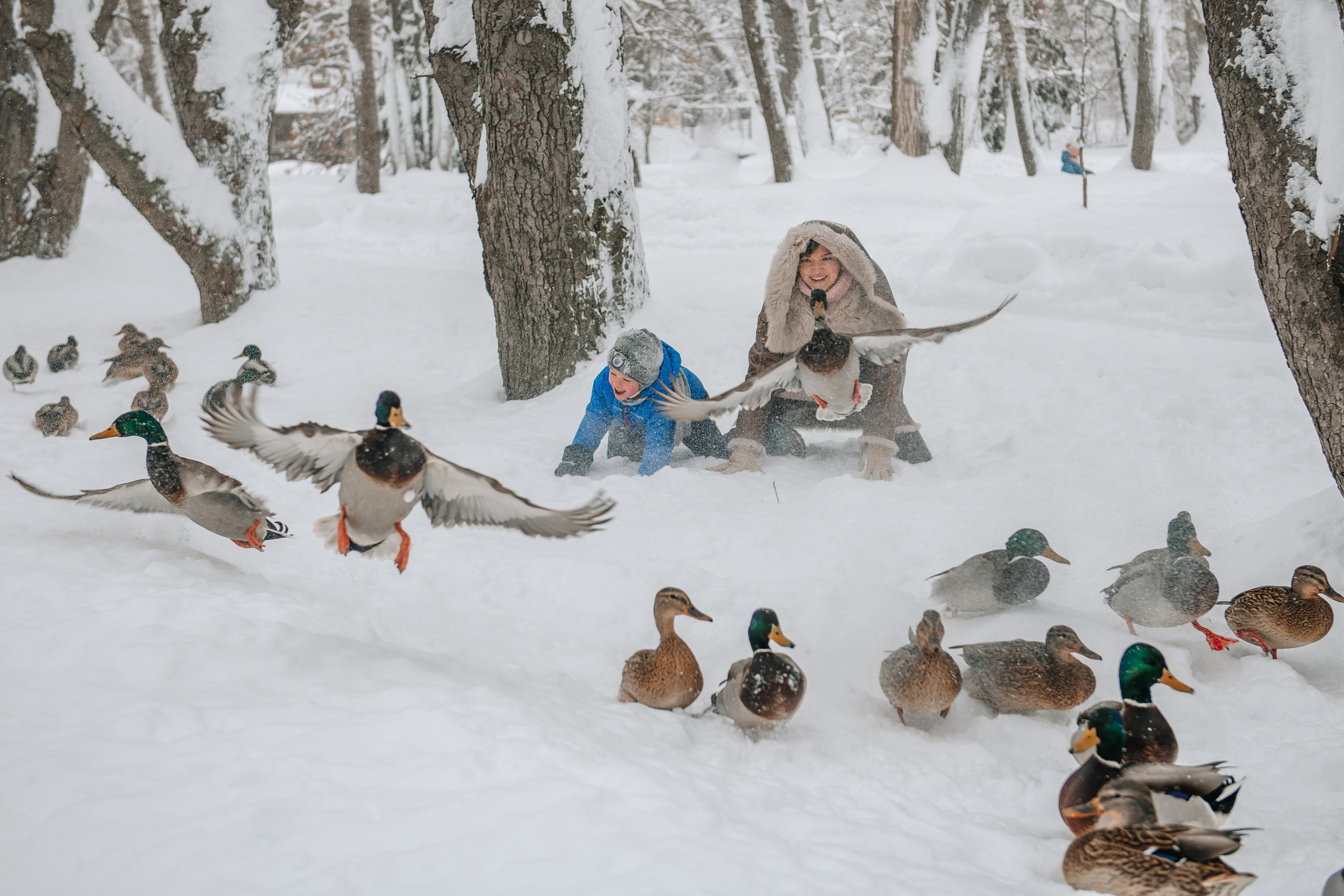 Снежная фотосессия. Андрей, Алла и Артур. Фотограф Валерия Голубева (Миронова)