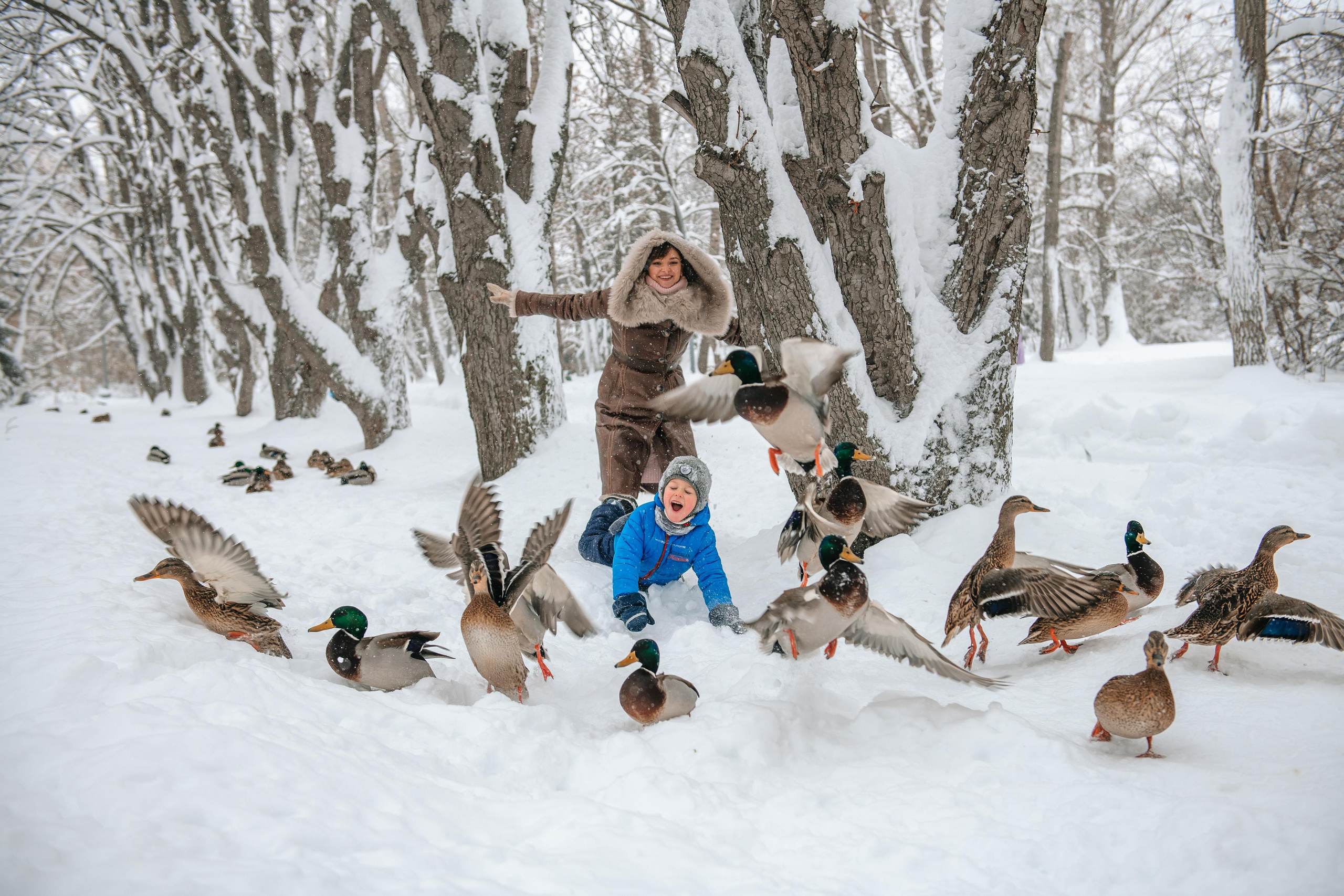 Снежная фотосессия. Андрей, Алла и Артур. Фотограф Валерия Голубева (Миронова)