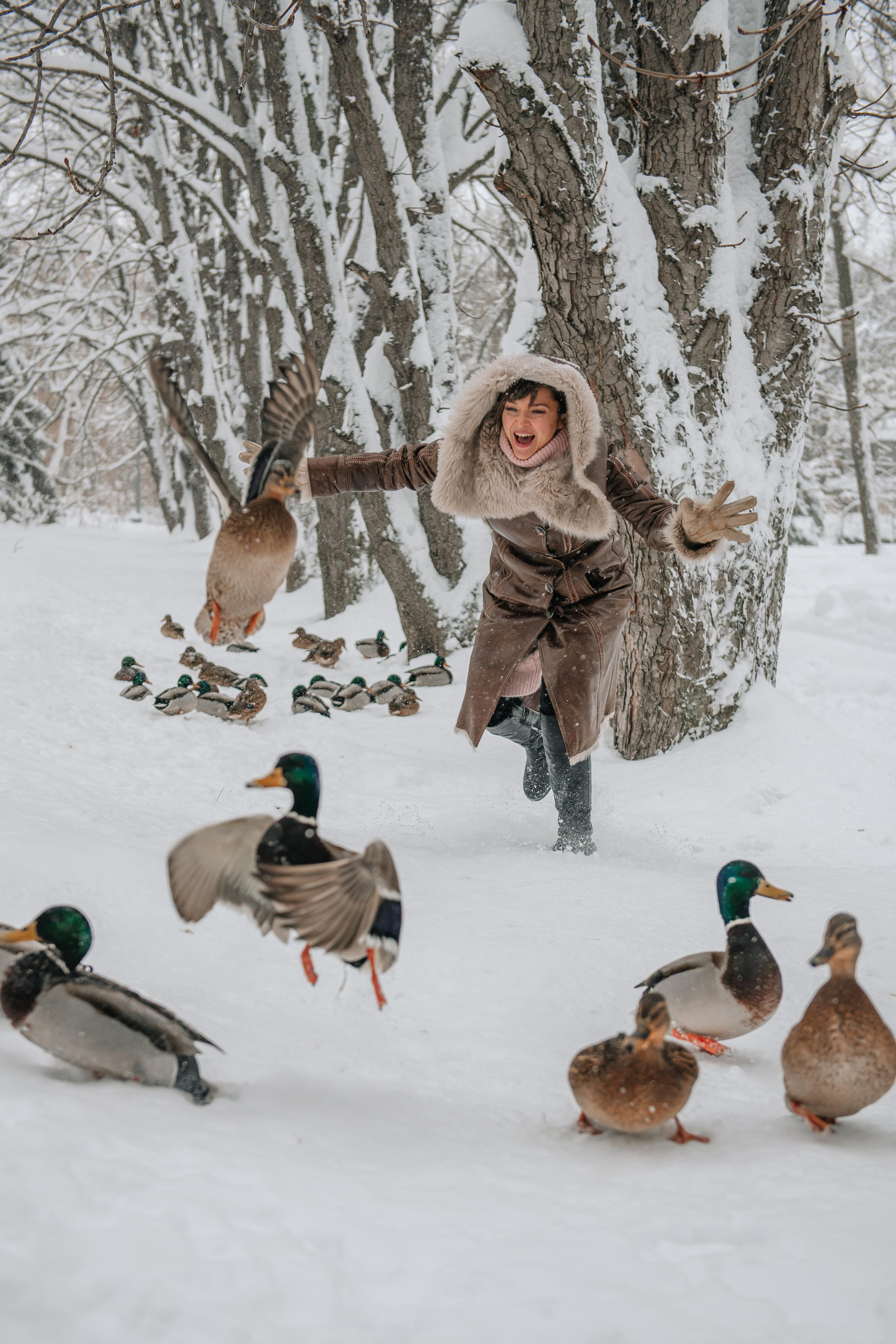 Снежная фотосессия. Андрей, Алла и Артур. Фотограф Валерия Голубева (Миронова)