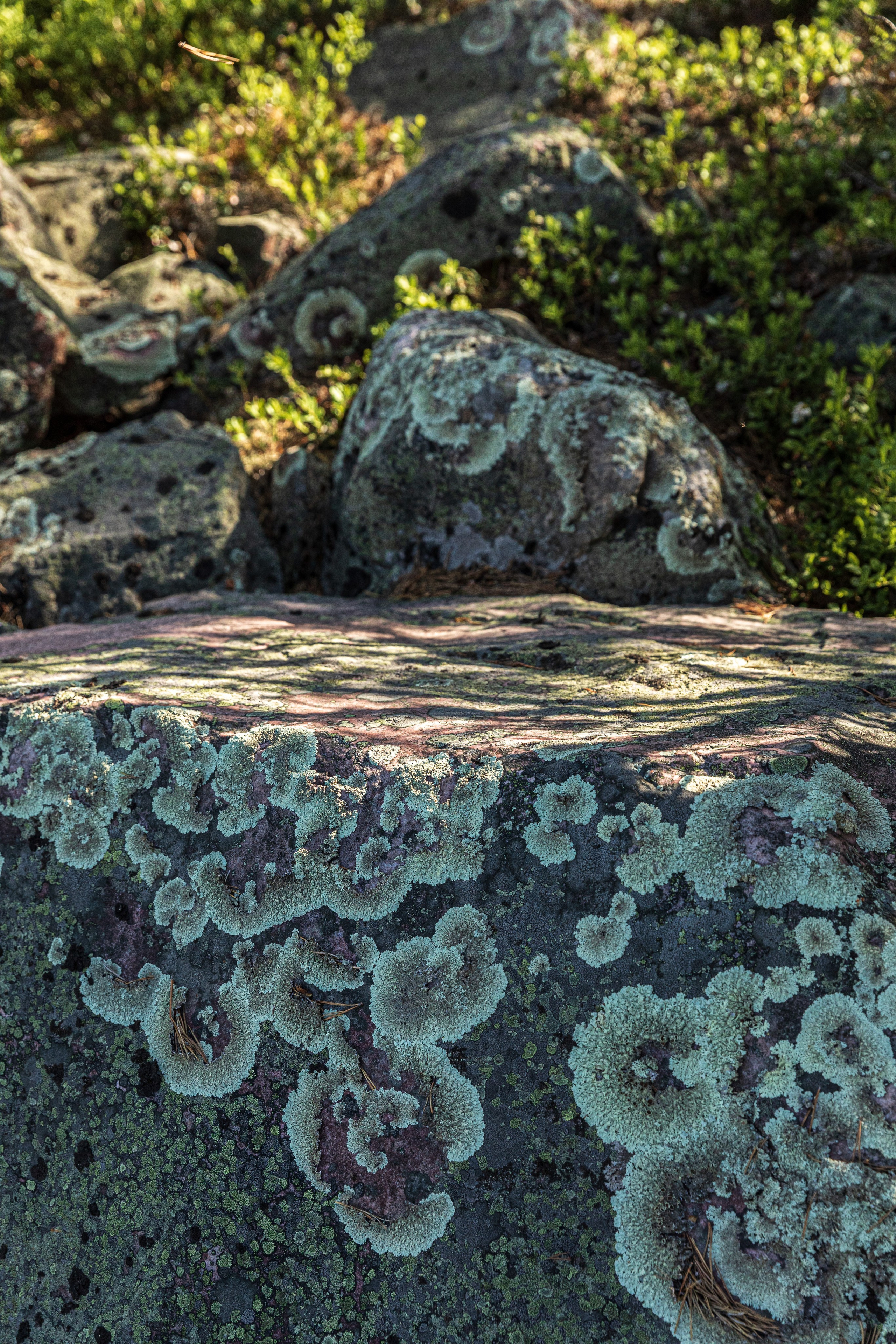 Турбаза. Фотограф в Петрозаводске Игорь Герасименко