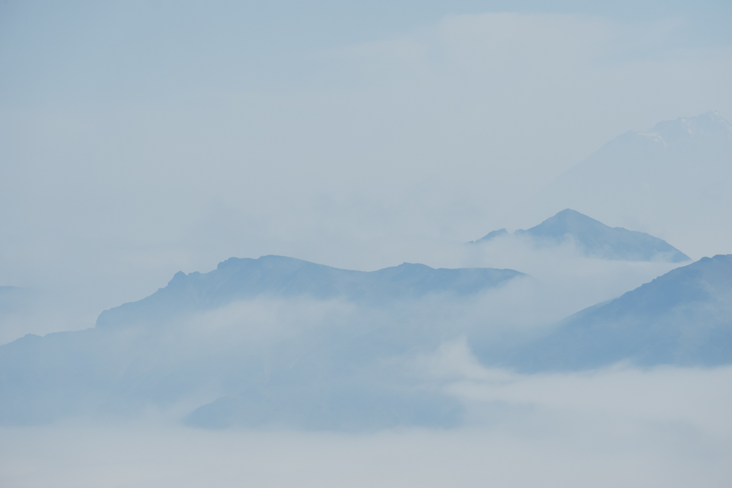 Landscapes. Irina Borodina