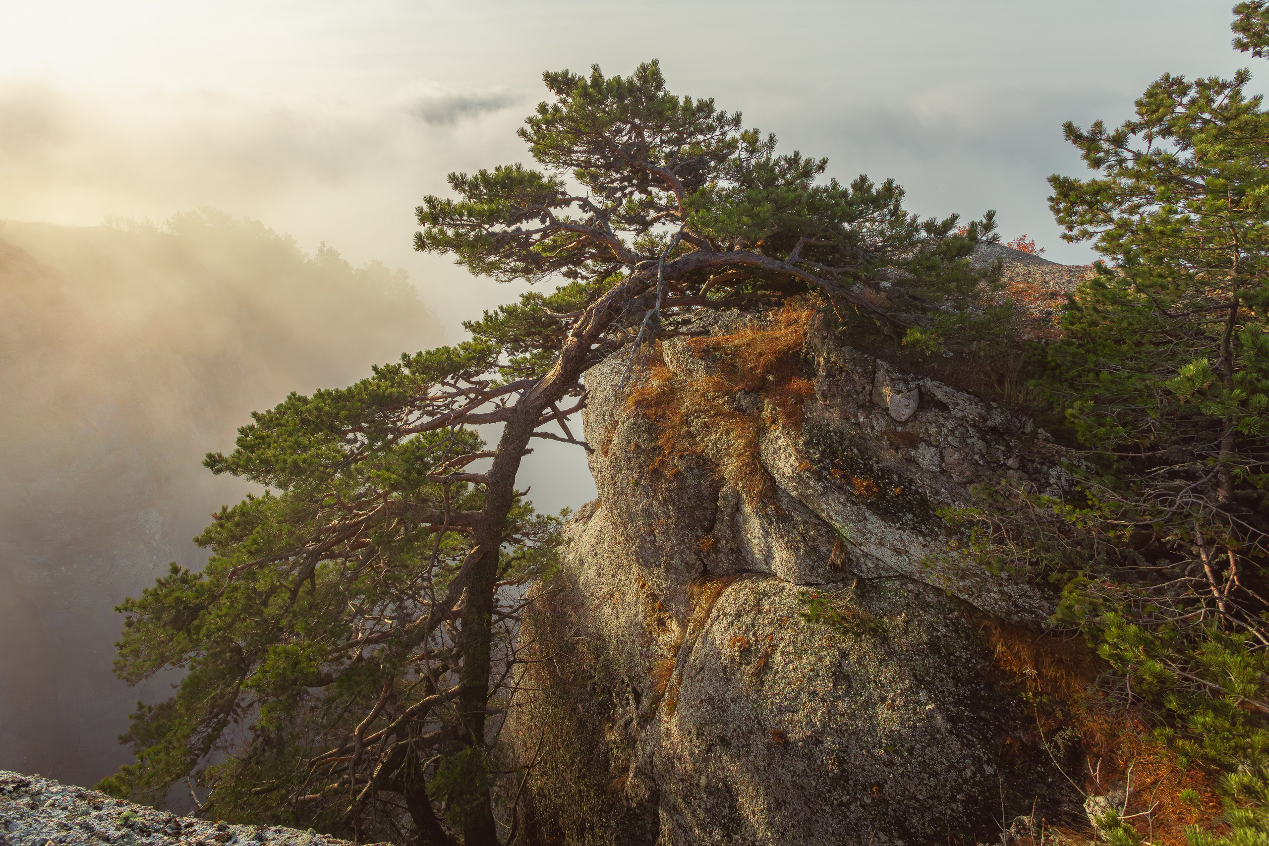 Пейзажная фотография. Фотошкола ArtFotoLife для начинающих и продвинутых фотографов