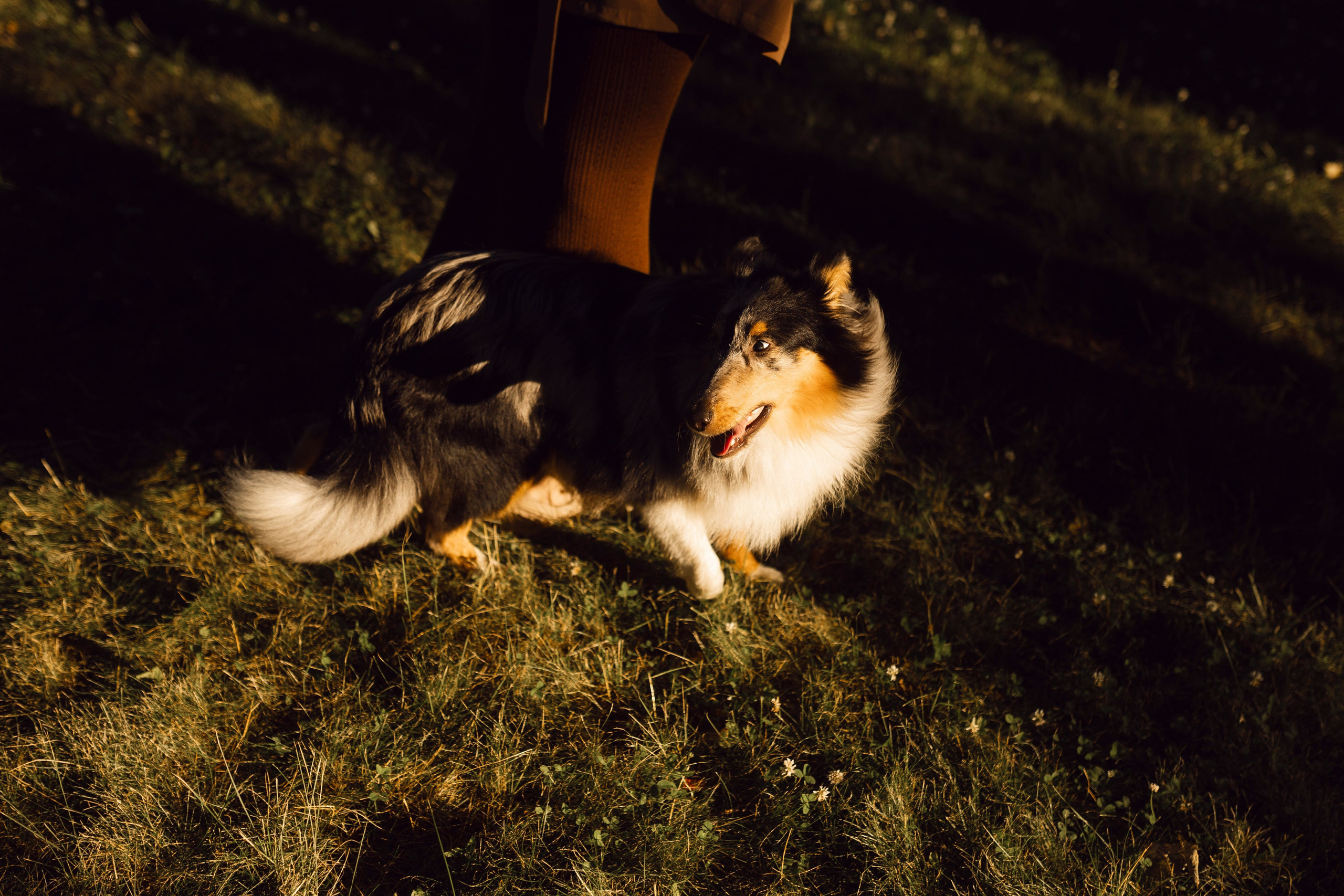 Москва / Шелти Башмак и его семья. Фотограф Кузина Вера