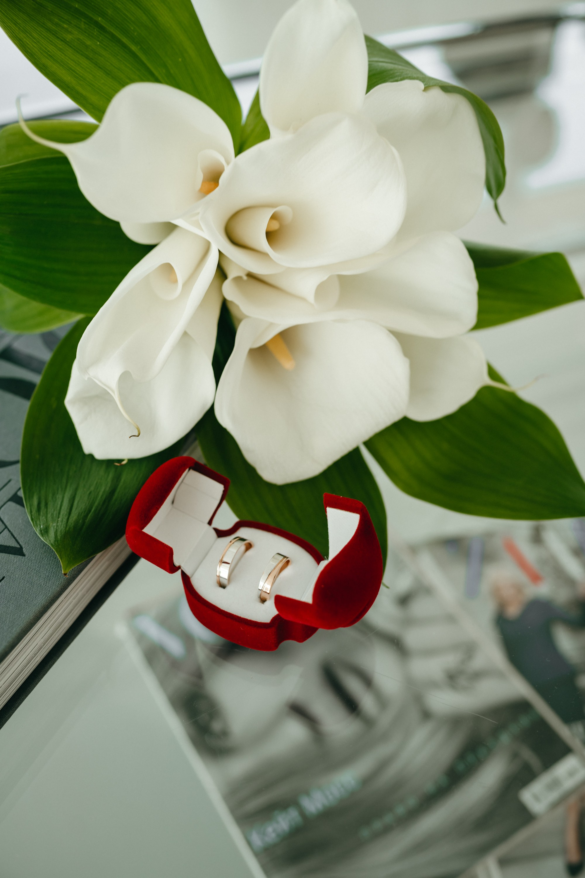 Свадьба Таня и Артем. Фотограф Яна Савина