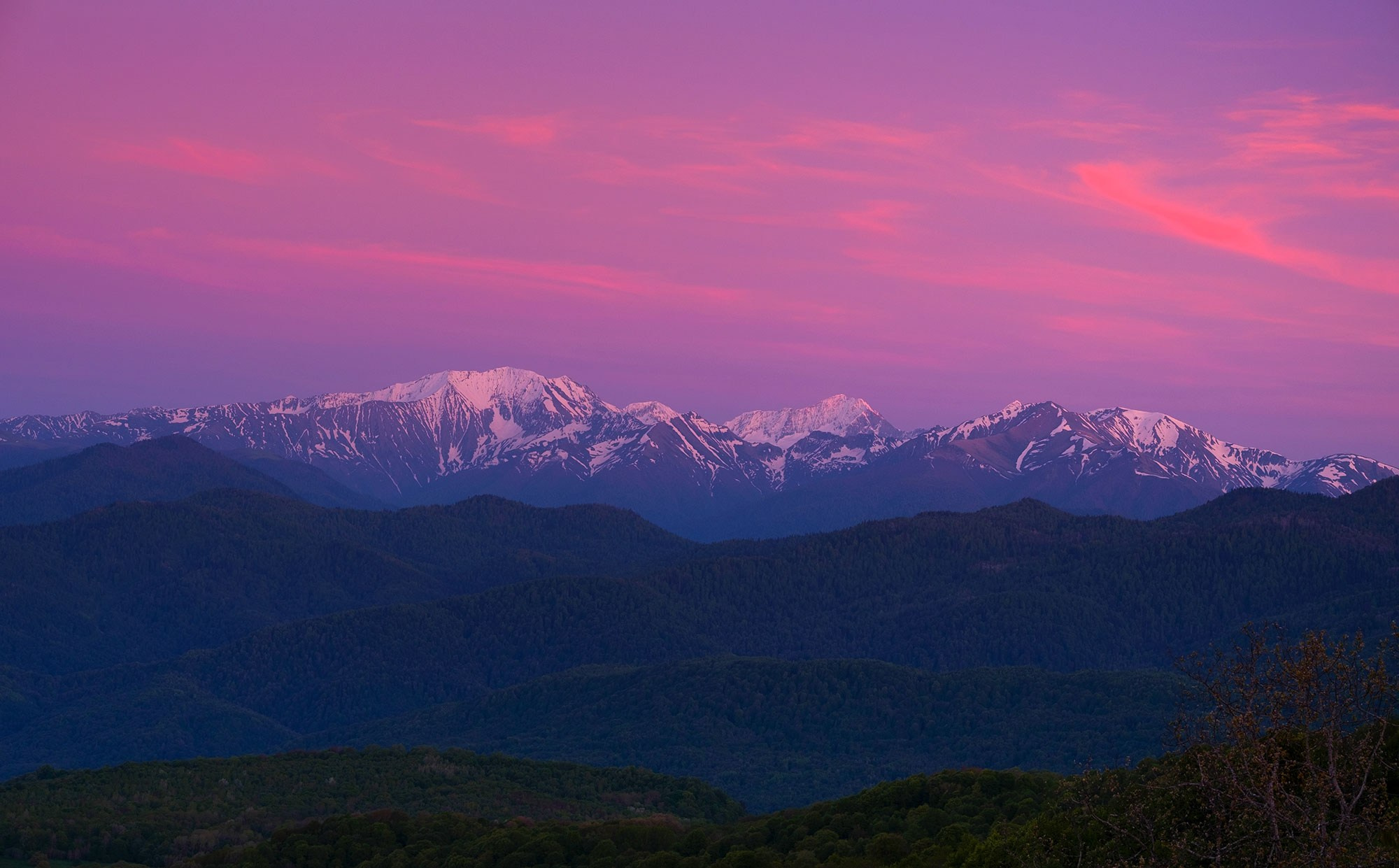 Свадебный фотограф в Геленджике