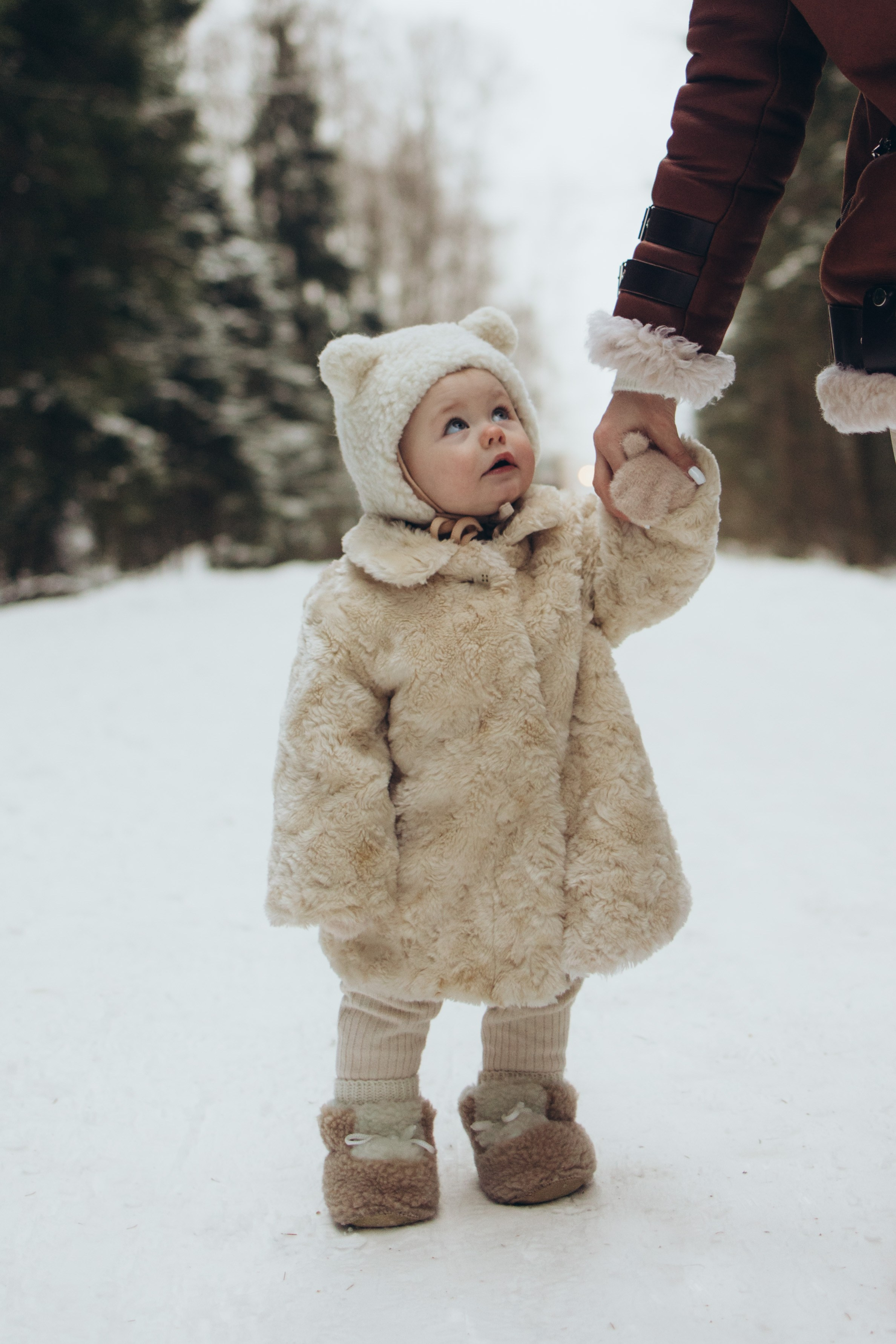 Снежный лес. Семейный фотограф в Москве Виктория Ястребинская