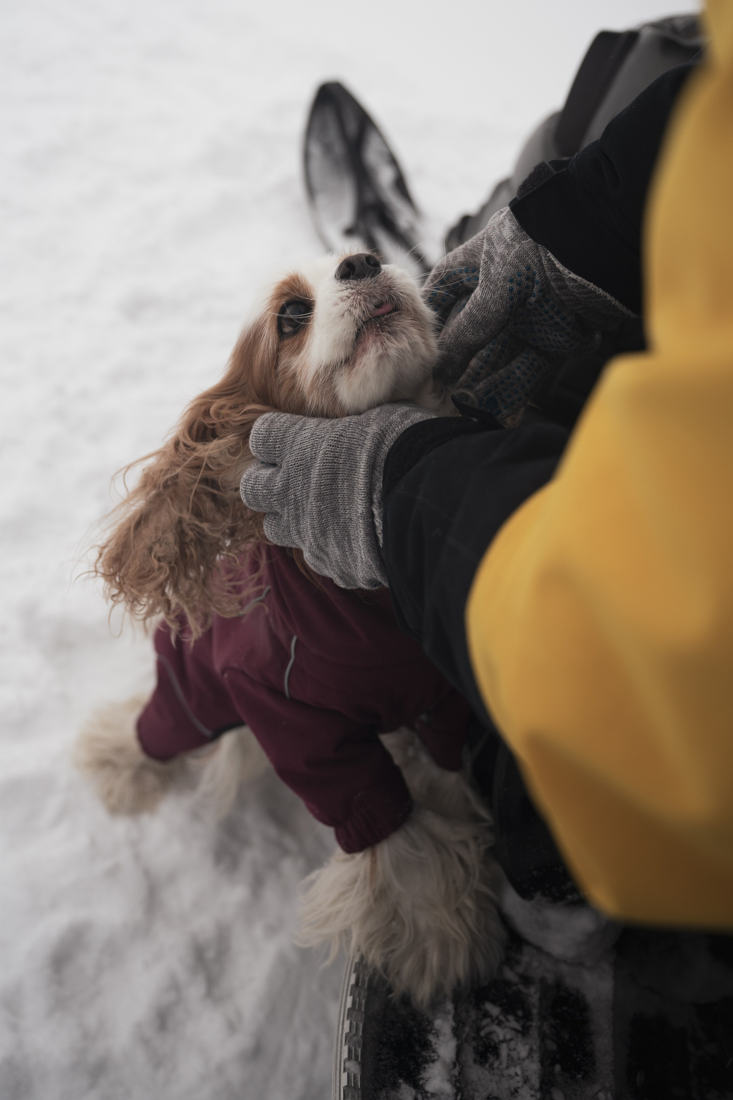 Териберка — репортаж тура Ковчег 51. Видеограф в Санкт-Петербурге Анастасия Коок