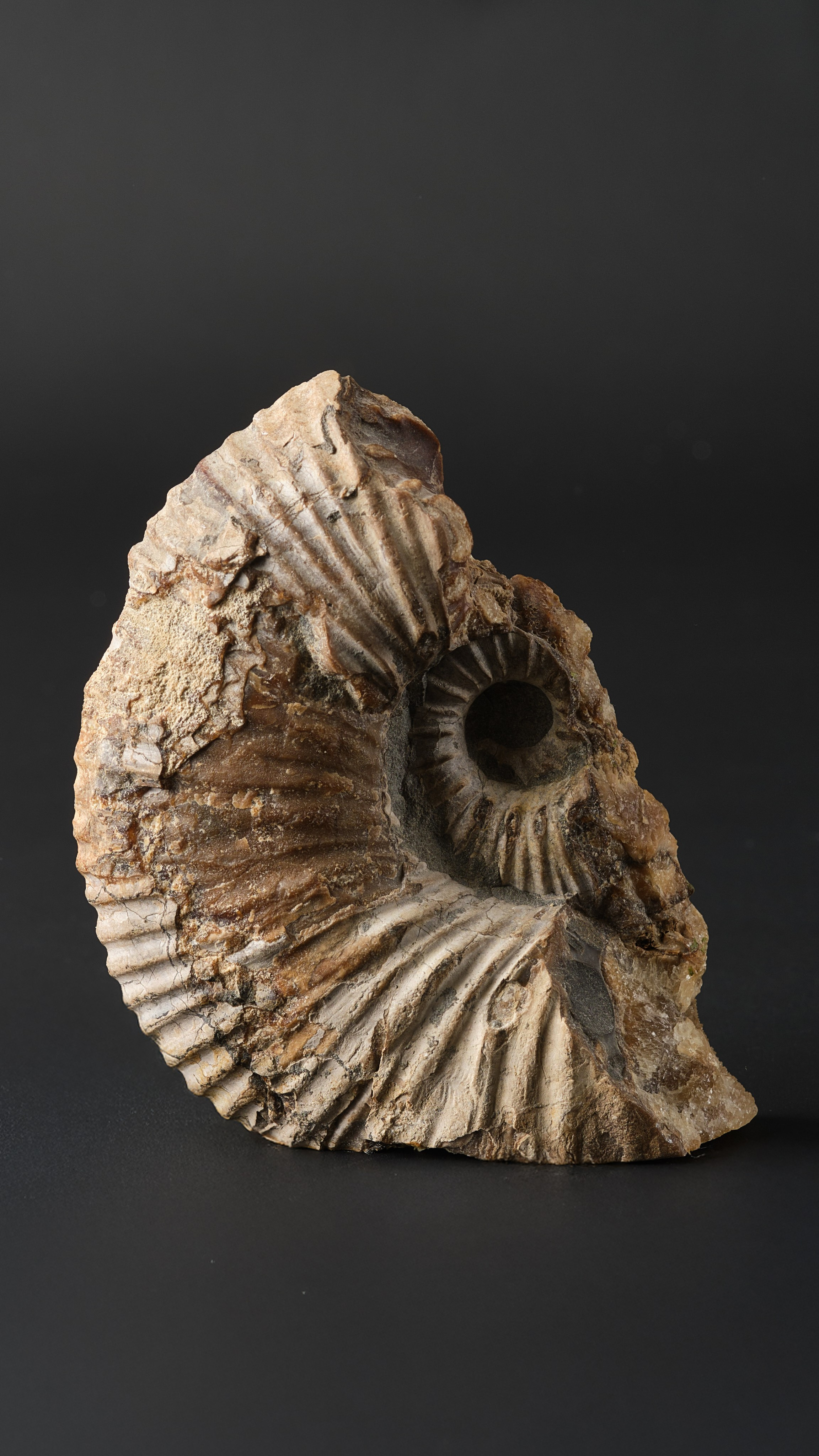 Камни. Предметный фотограф в Краснодаре