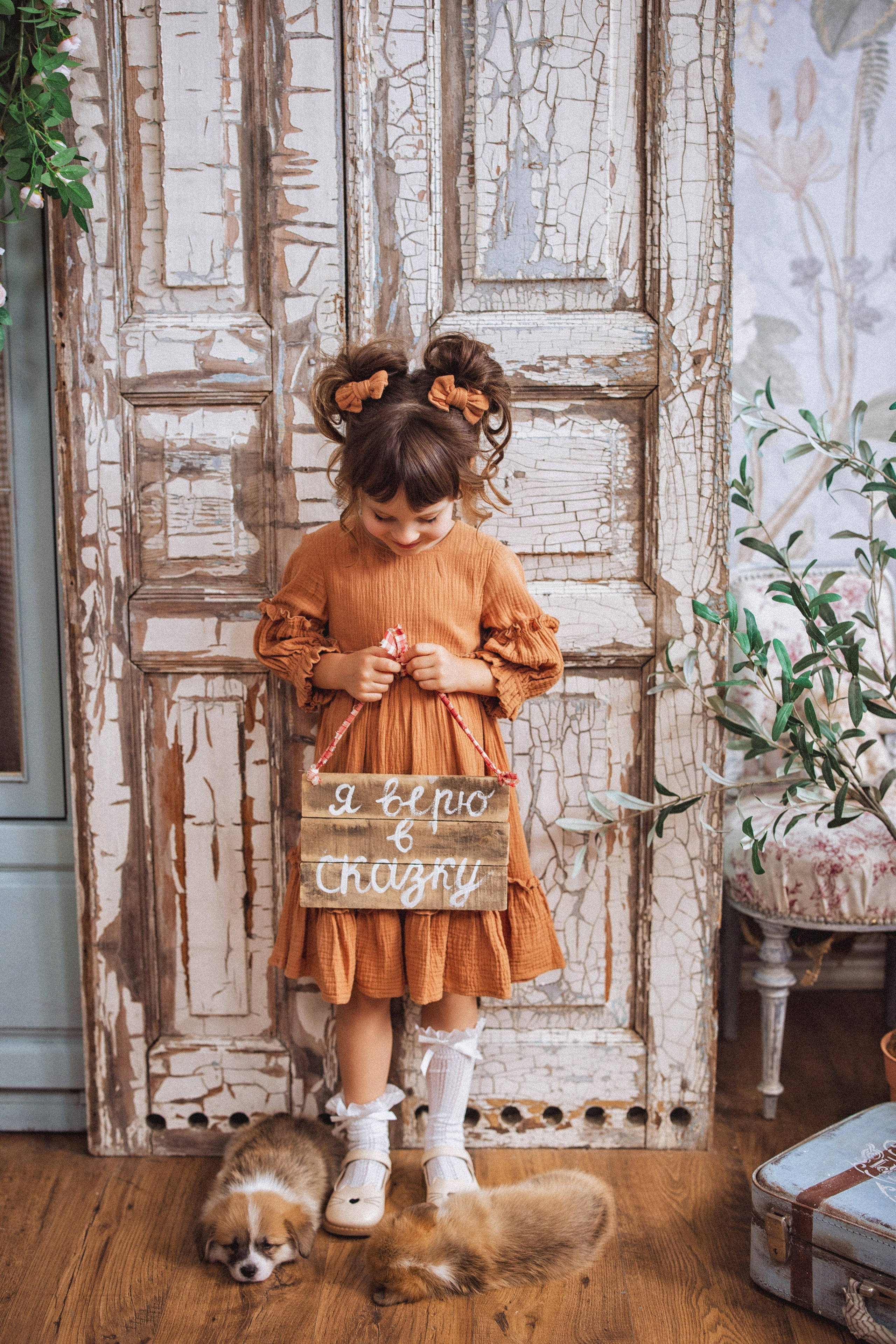 Фотосессия с щенками Корги, в фотостудии Ольги Сурухановой, город Краснодар. Семейный и детский фотограф в Краснодаре Анна Трашкова