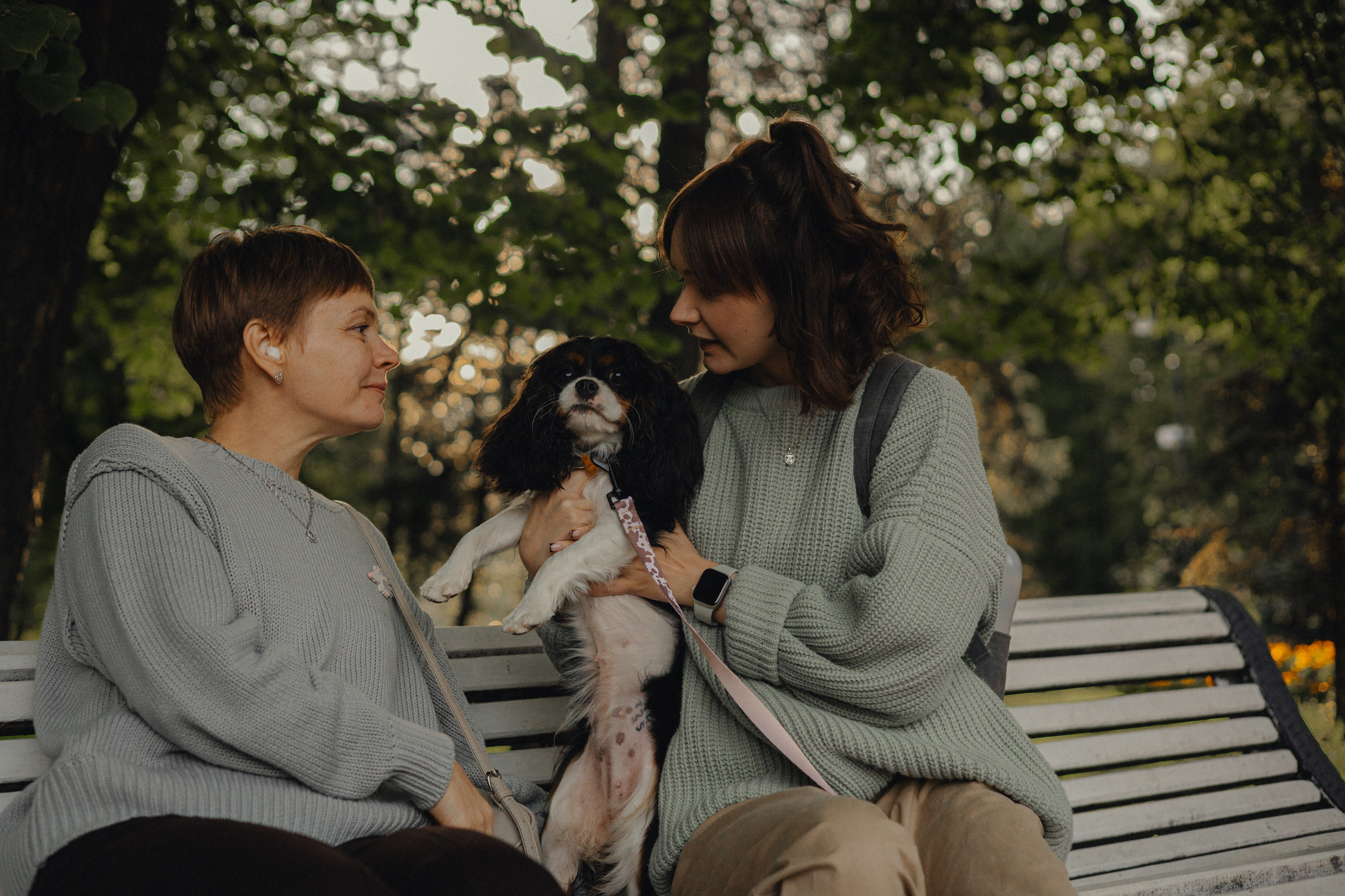 Светлана & Стеша & Настя. Фотограф — анималист •love-story•|Санкт-Петербург