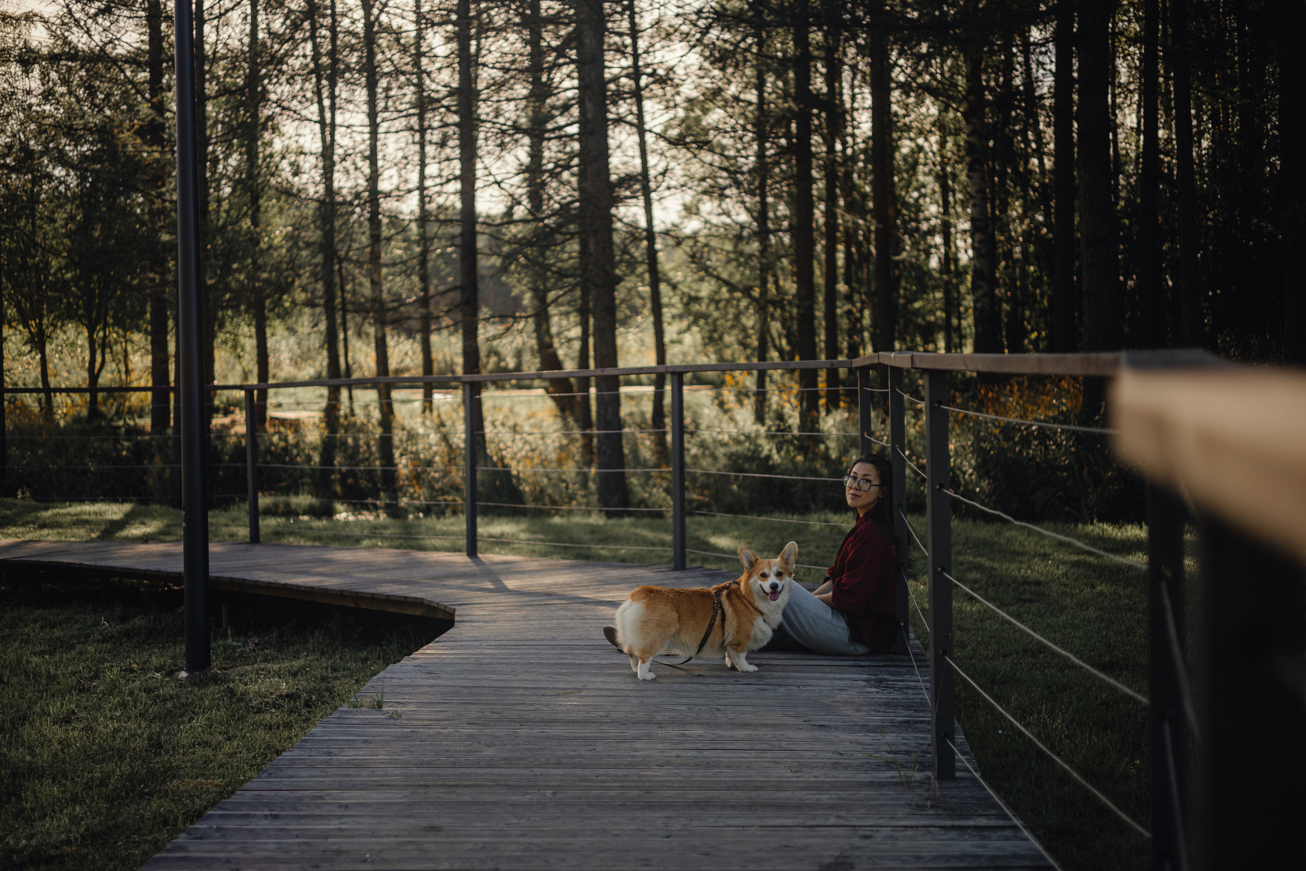 Мари & Йосик. Фотограф — анималист •love-story•|Санкт-Петербург