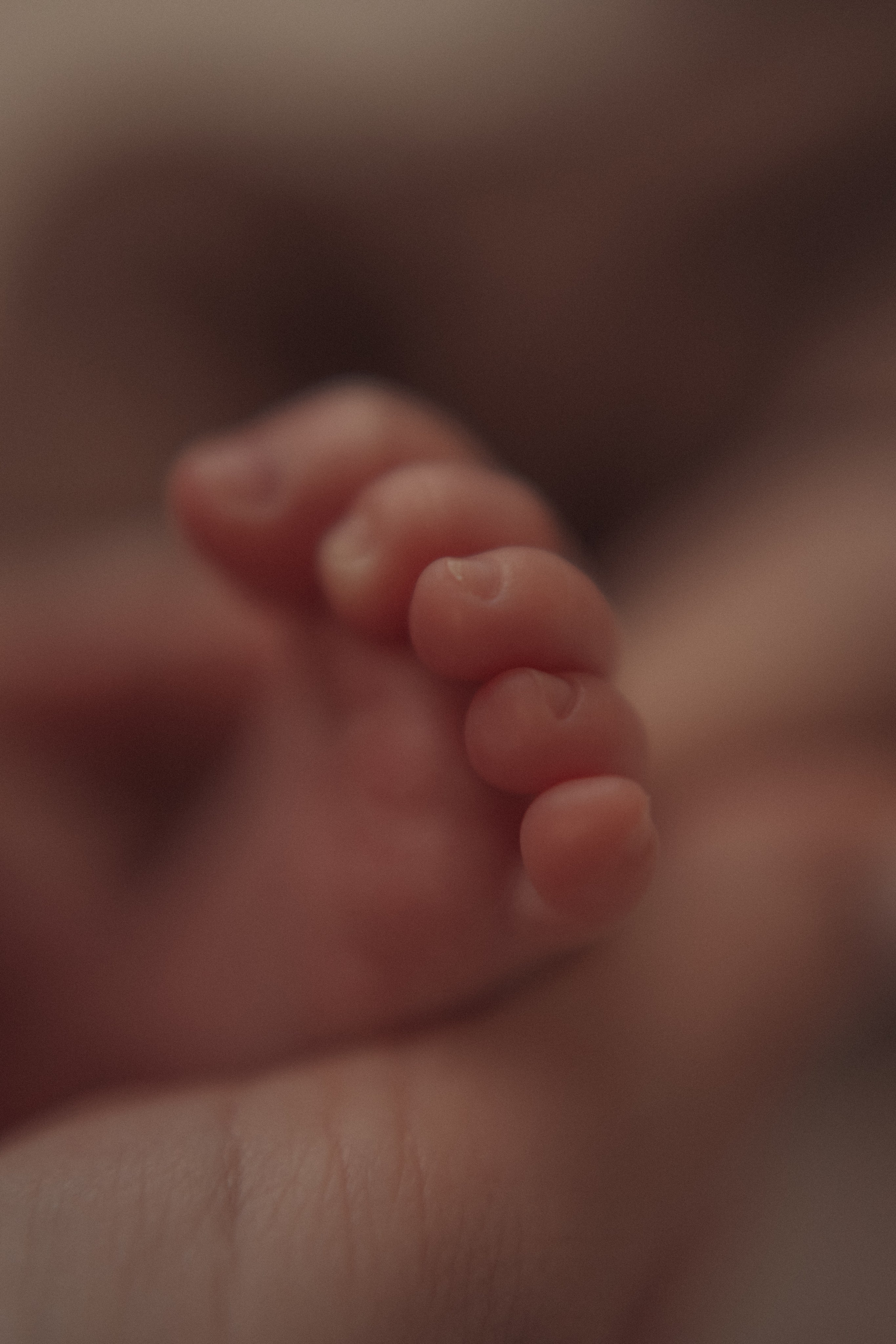 Истории о самых маленьких. Марина Мужиченкова. Семейная и детская фотосъёмка в Москве