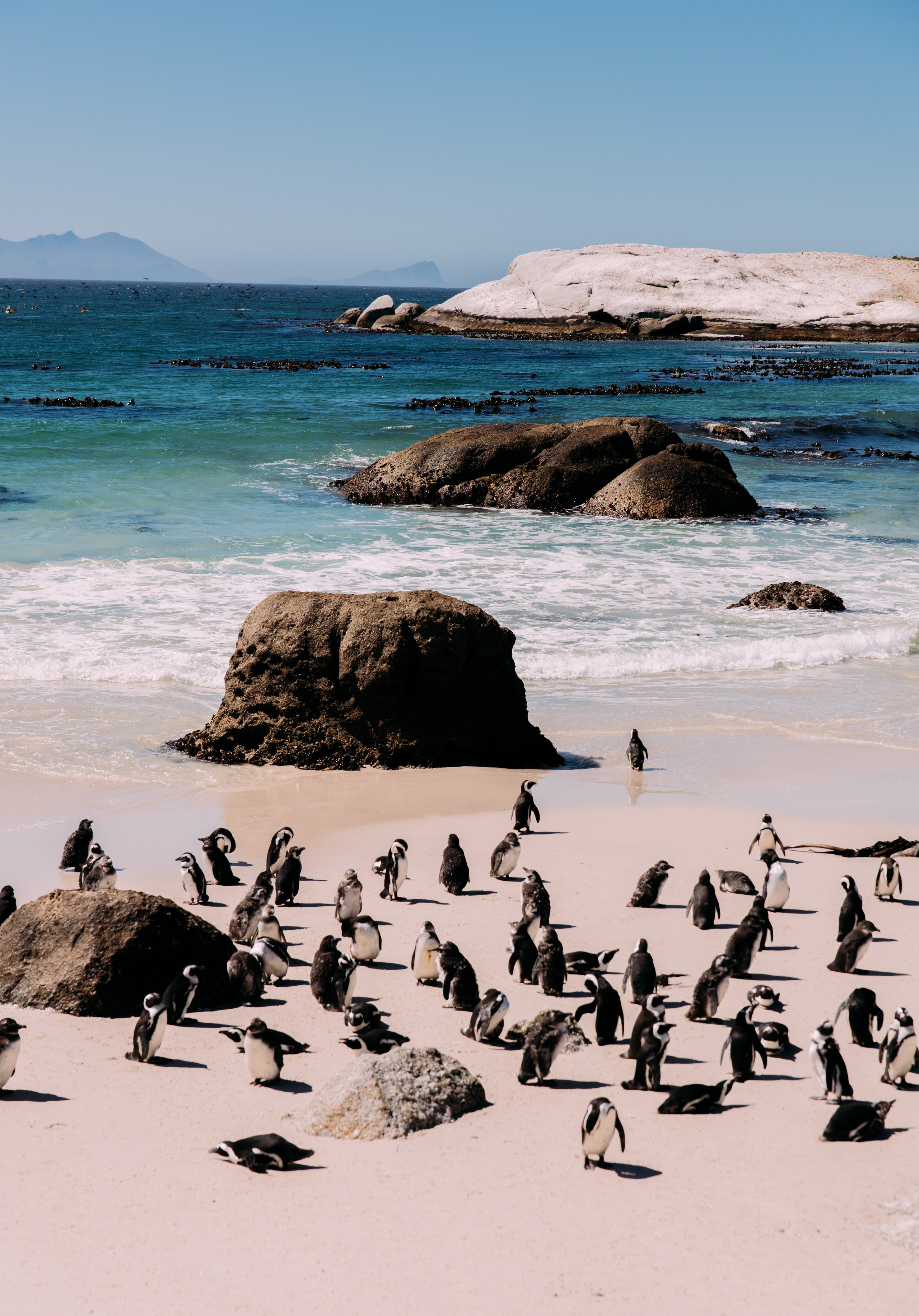 ФОТО ТУРЫ ПО МИРУ. Фотограф Марина Аблаева-Кожедуб