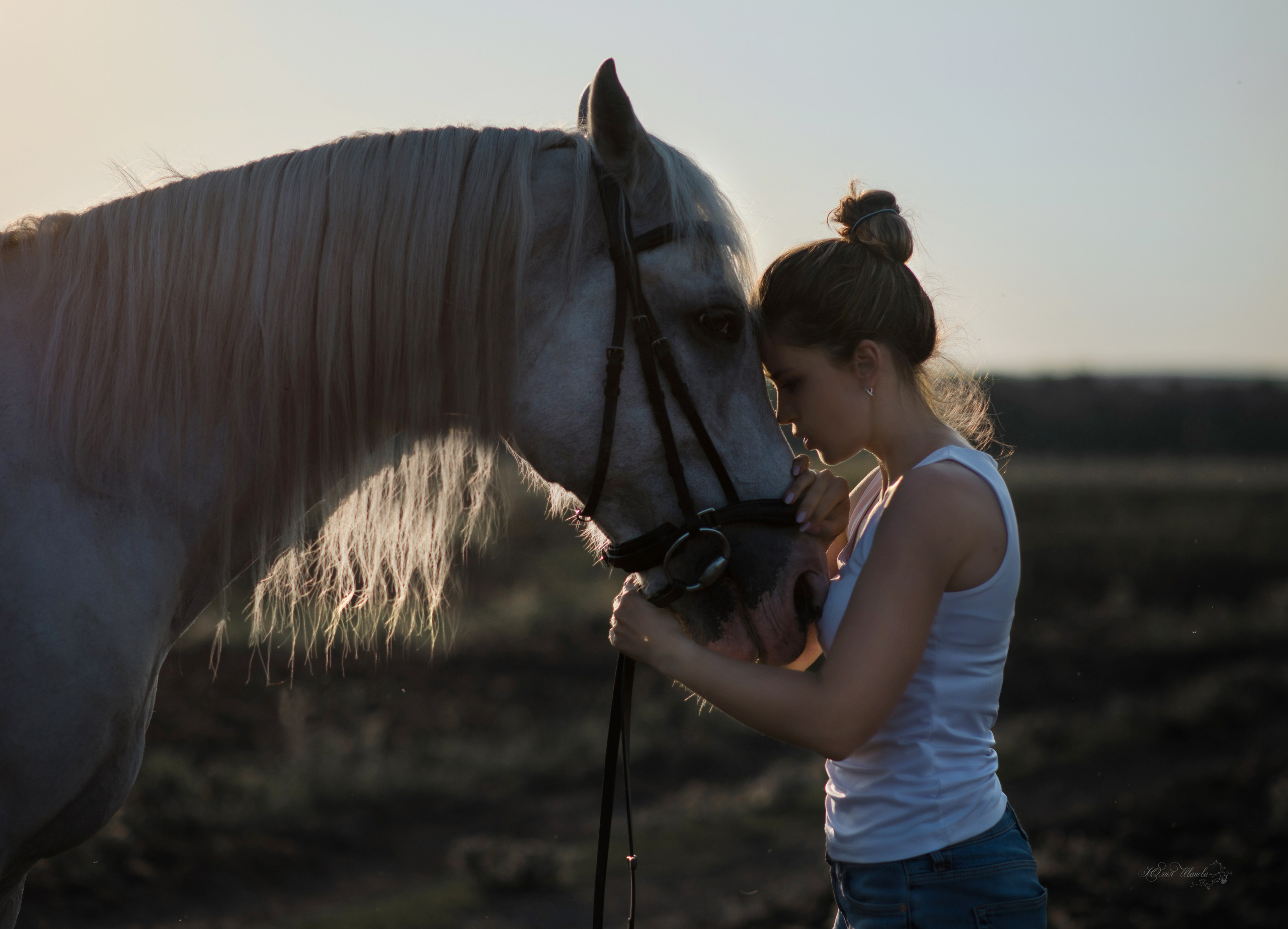 Кристина и Илья, Каспиец и Багрец. Конный фотограф в Саратове Юлия Иванова