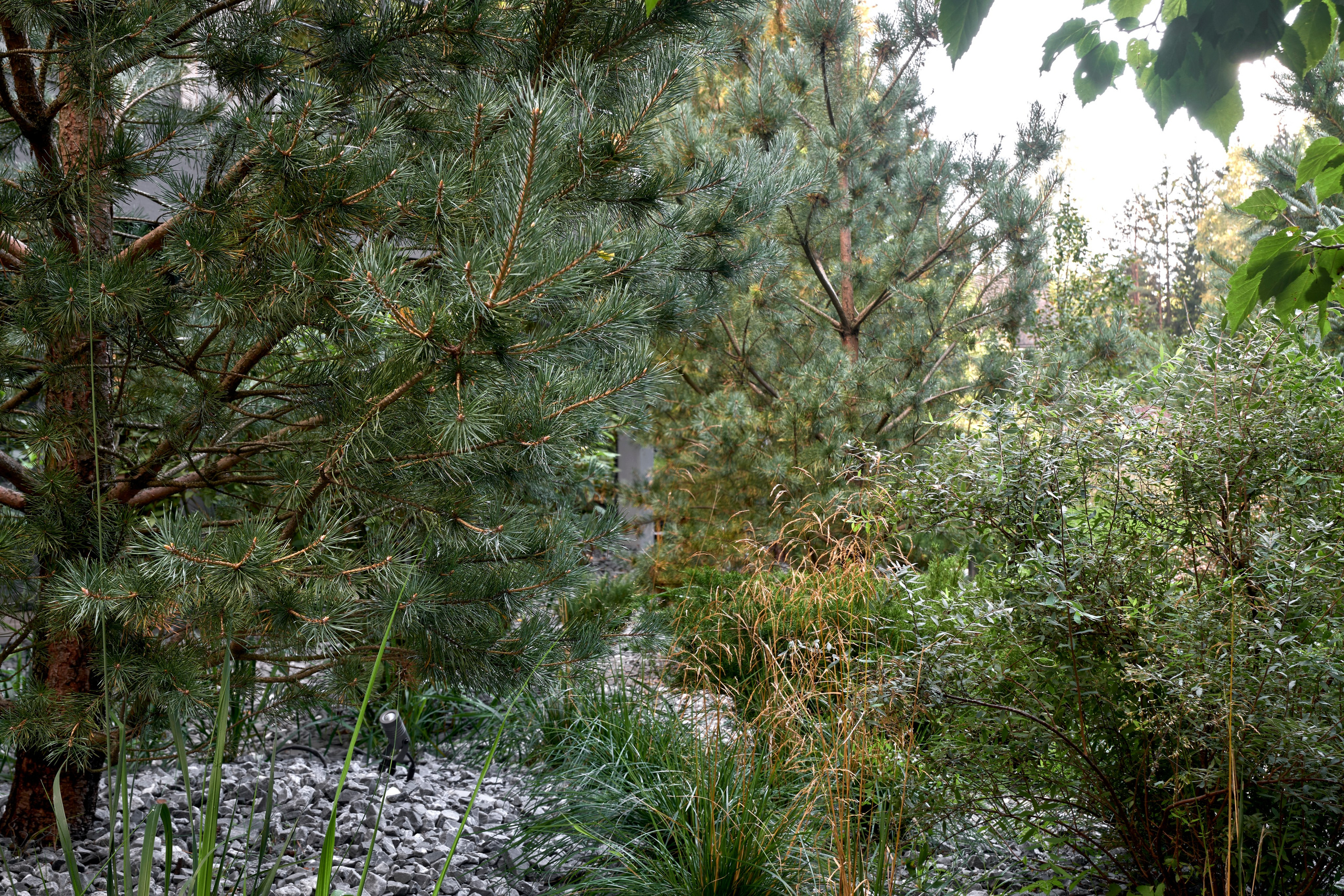 Ландшафтный и интерьерный фотограф Наталья Соловьева. Фотосъемка проекта сада Neula для ландшафтной студии Зелен | interioto