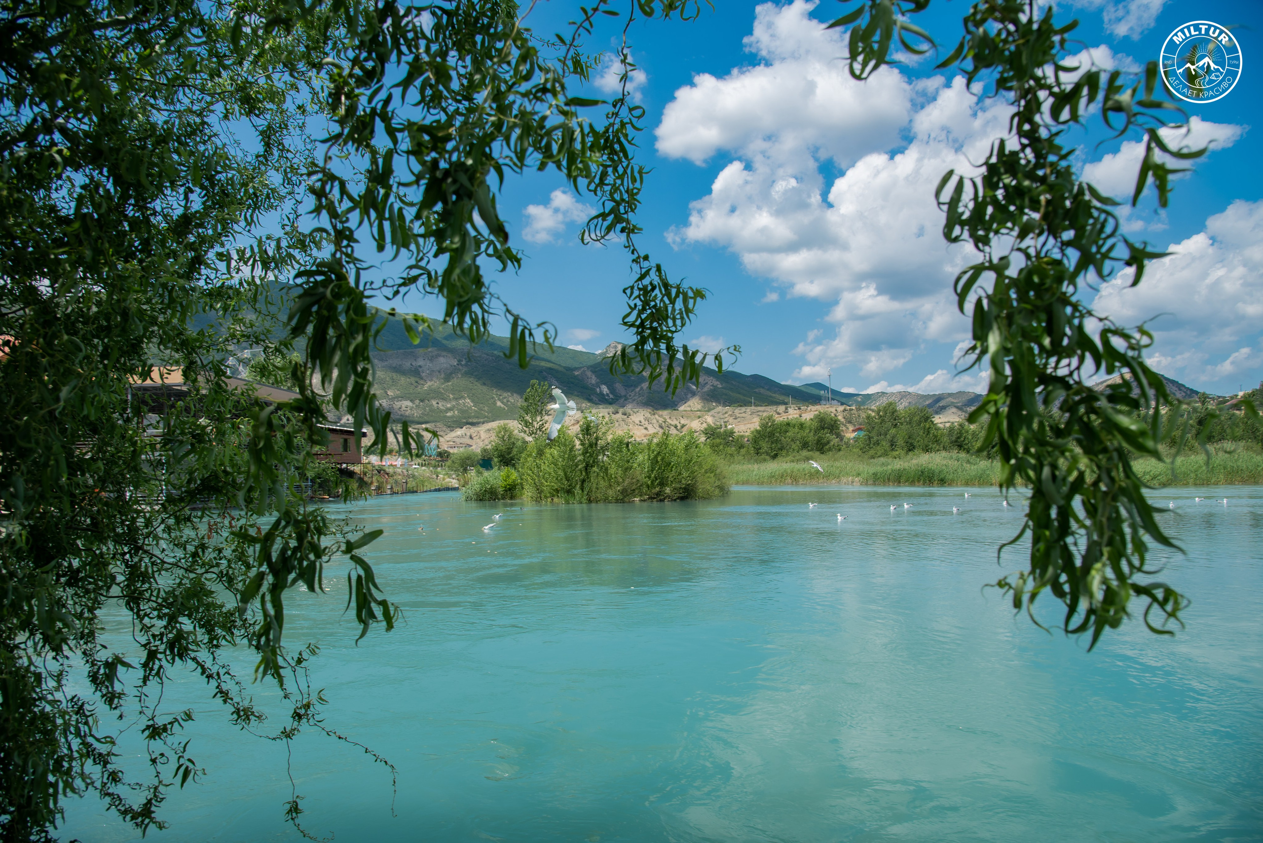 Тур в Чечню. Фотограф Галина Нестерова