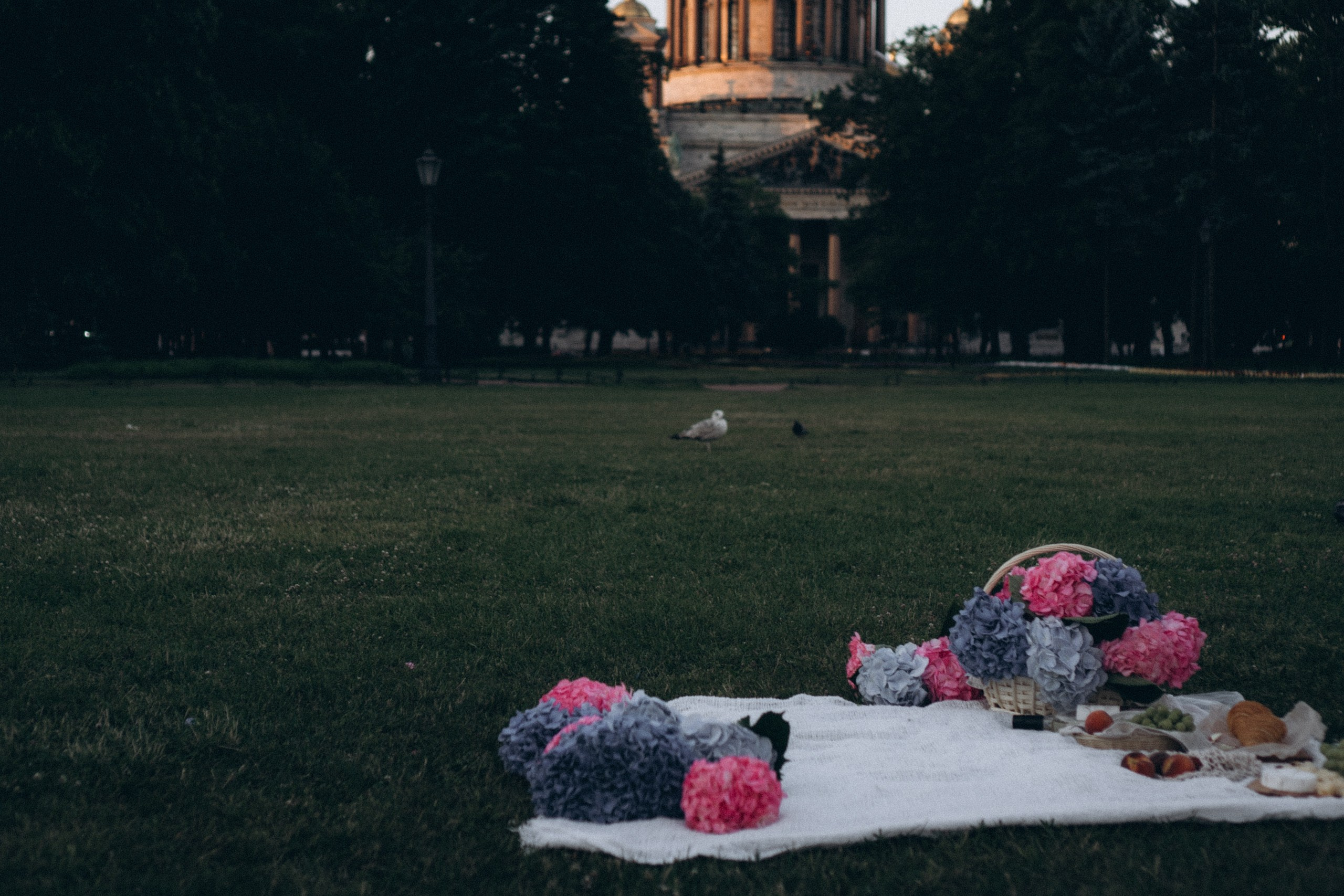 СВАДЕБНАЯ СЬЕМКА ПАРЫ НА РАССВЕТЕ В БЕЛЫЕ НОЧИ И ПРОГУЛКА С РАЗВОДНЫМИ МОСТАМИ И ПИКНИК ВОЗЛЕ ИСАКИЕВСКОГО СОБОРА. Профессиональный фотограф, Санкт-Петербург — Виктория Богомолова